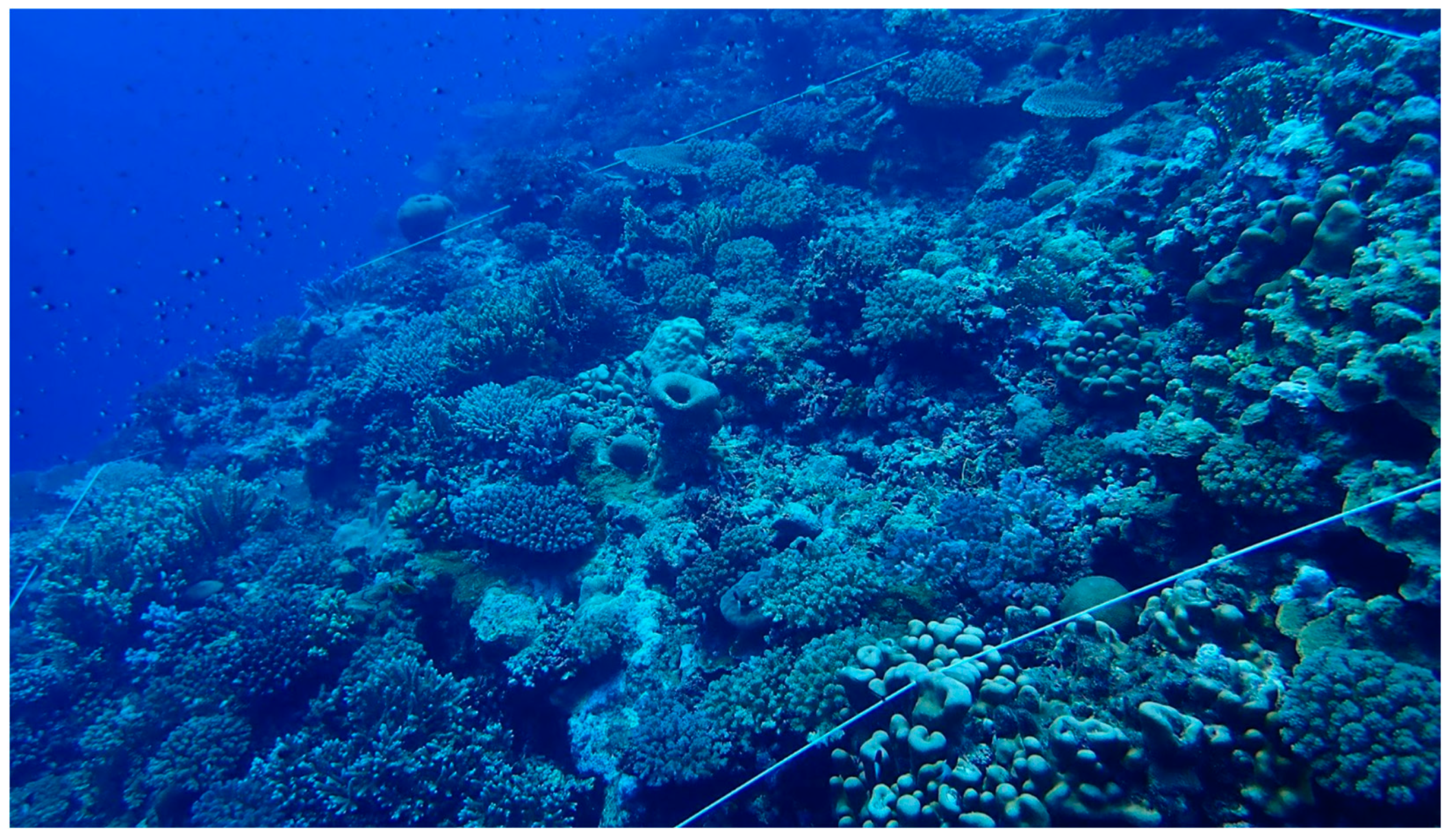 Diversity 16 00379 g007 Diversity 16 00379 g007