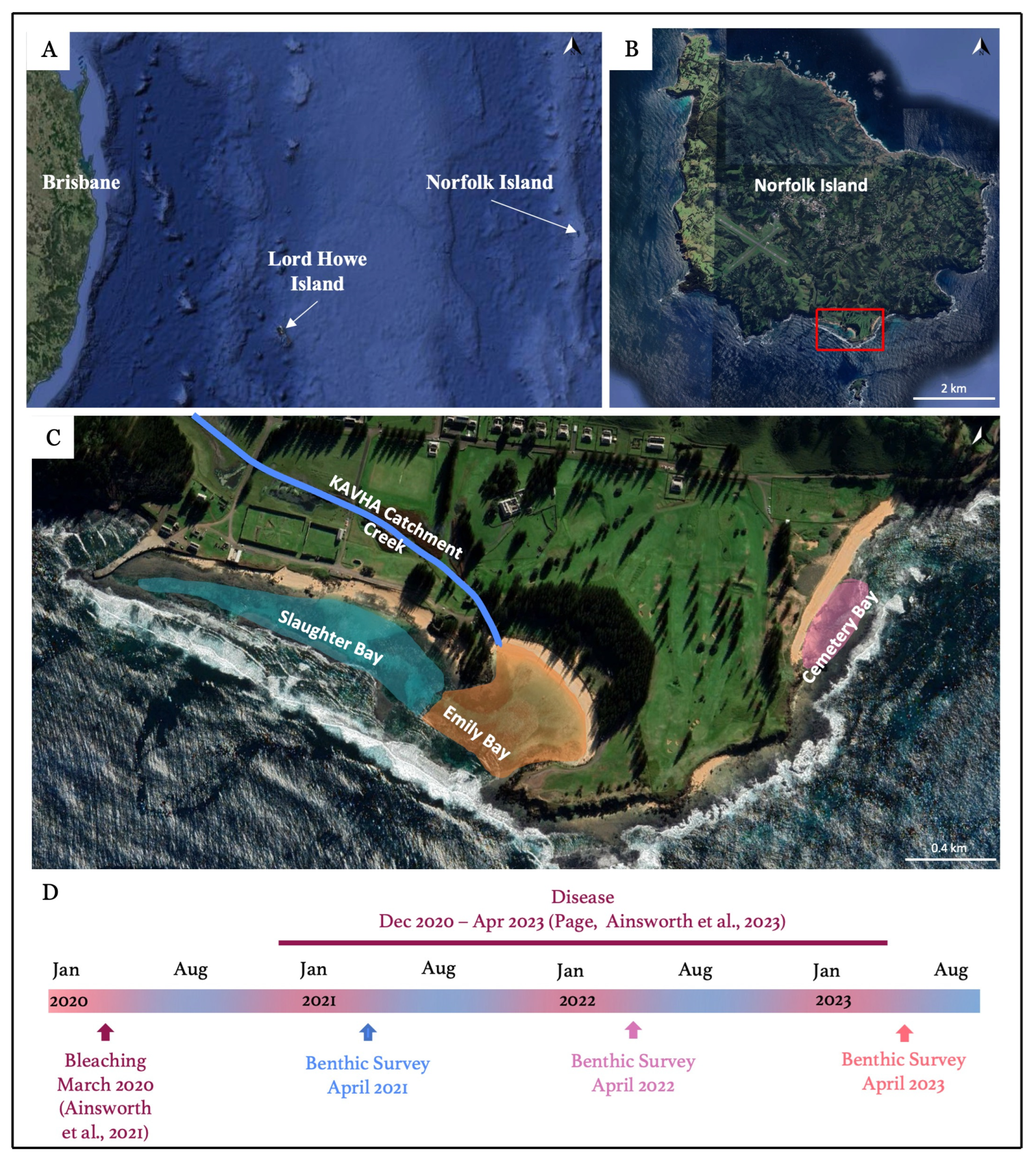 Diversity 16 00384 g001 Diversity 16 00384 g001