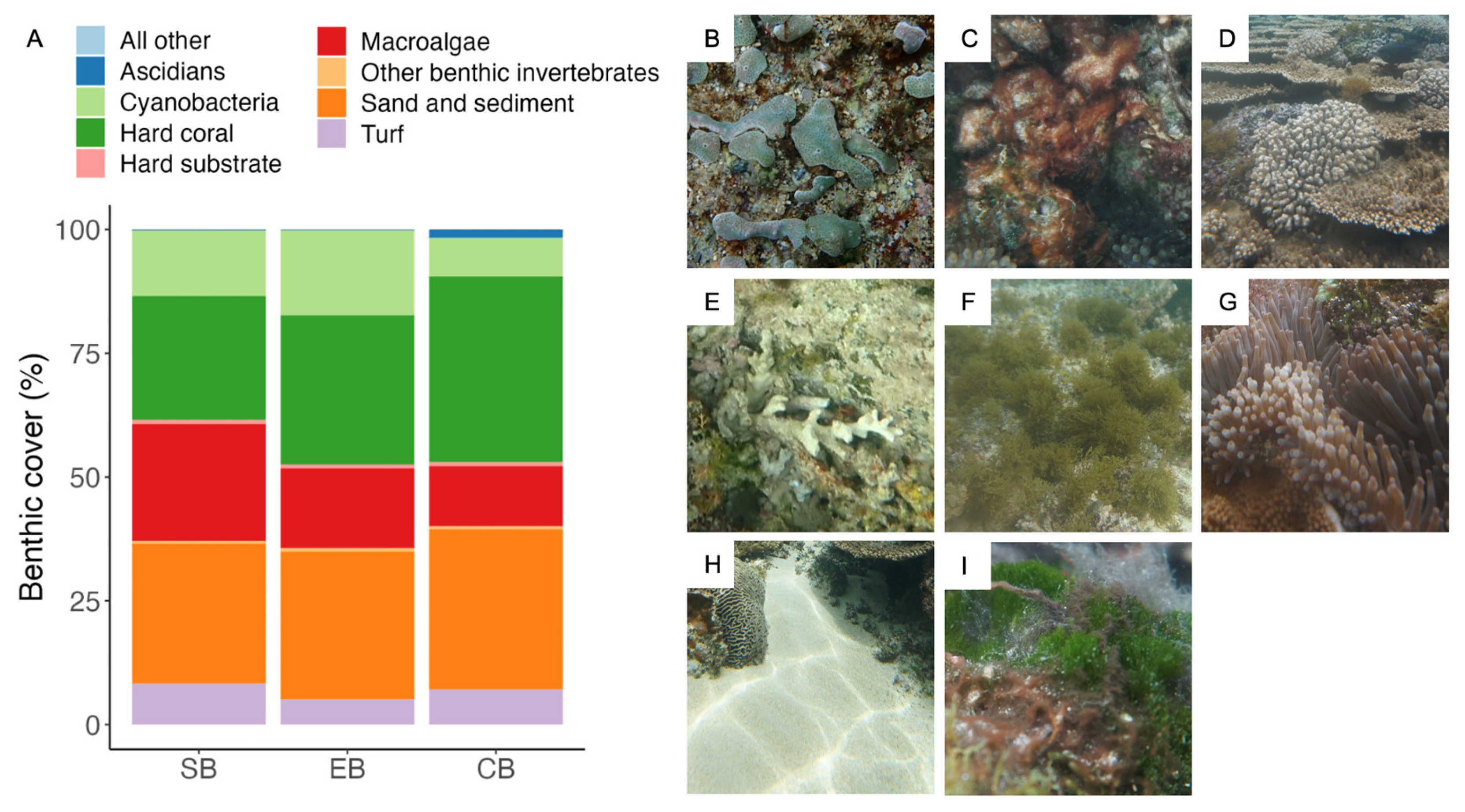 Diversity 16 00384 g003 Diversity 16 00384 g003