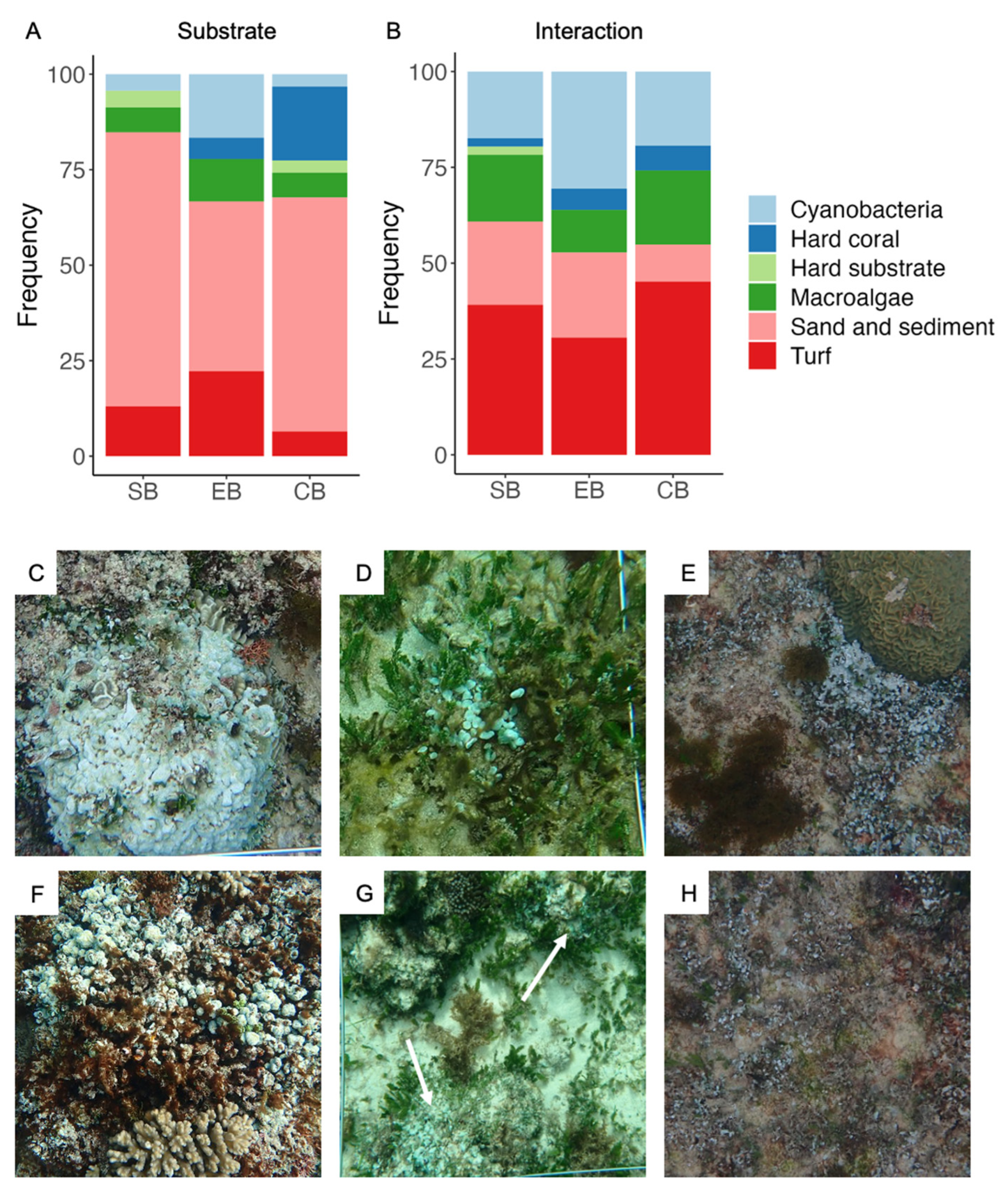 Diversity 16 00384 g005 Diversity 16 00384 g005