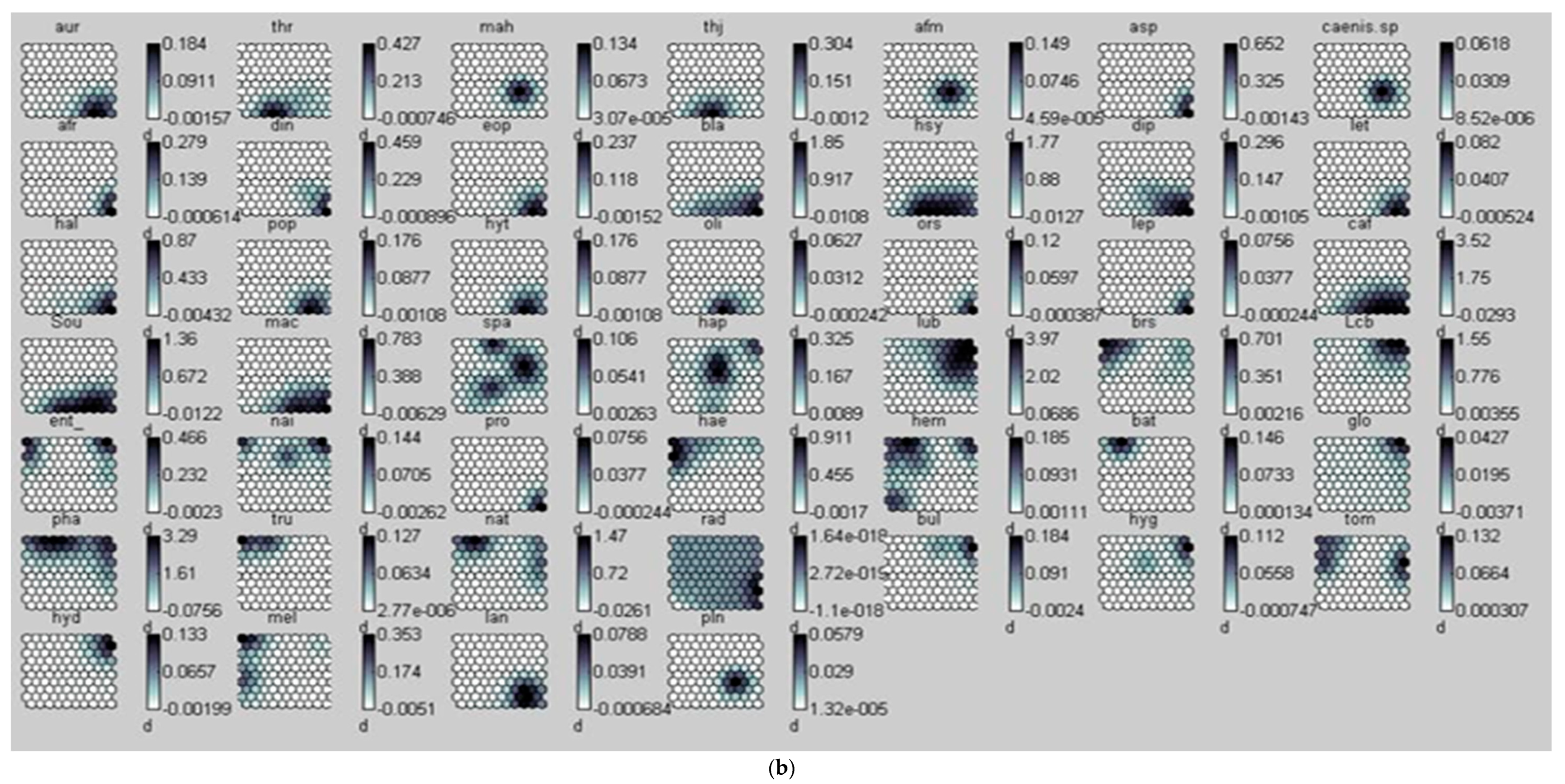 Diversity 16 00385 g002b