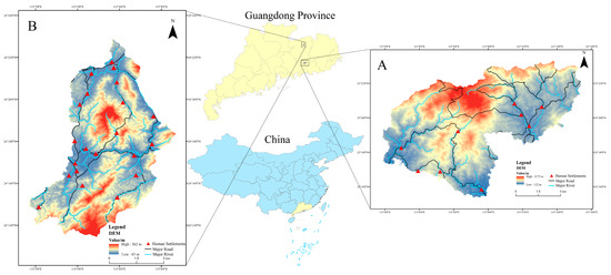 Severe Disturbance of Chinese Pangolins Caused by Free-Ranging