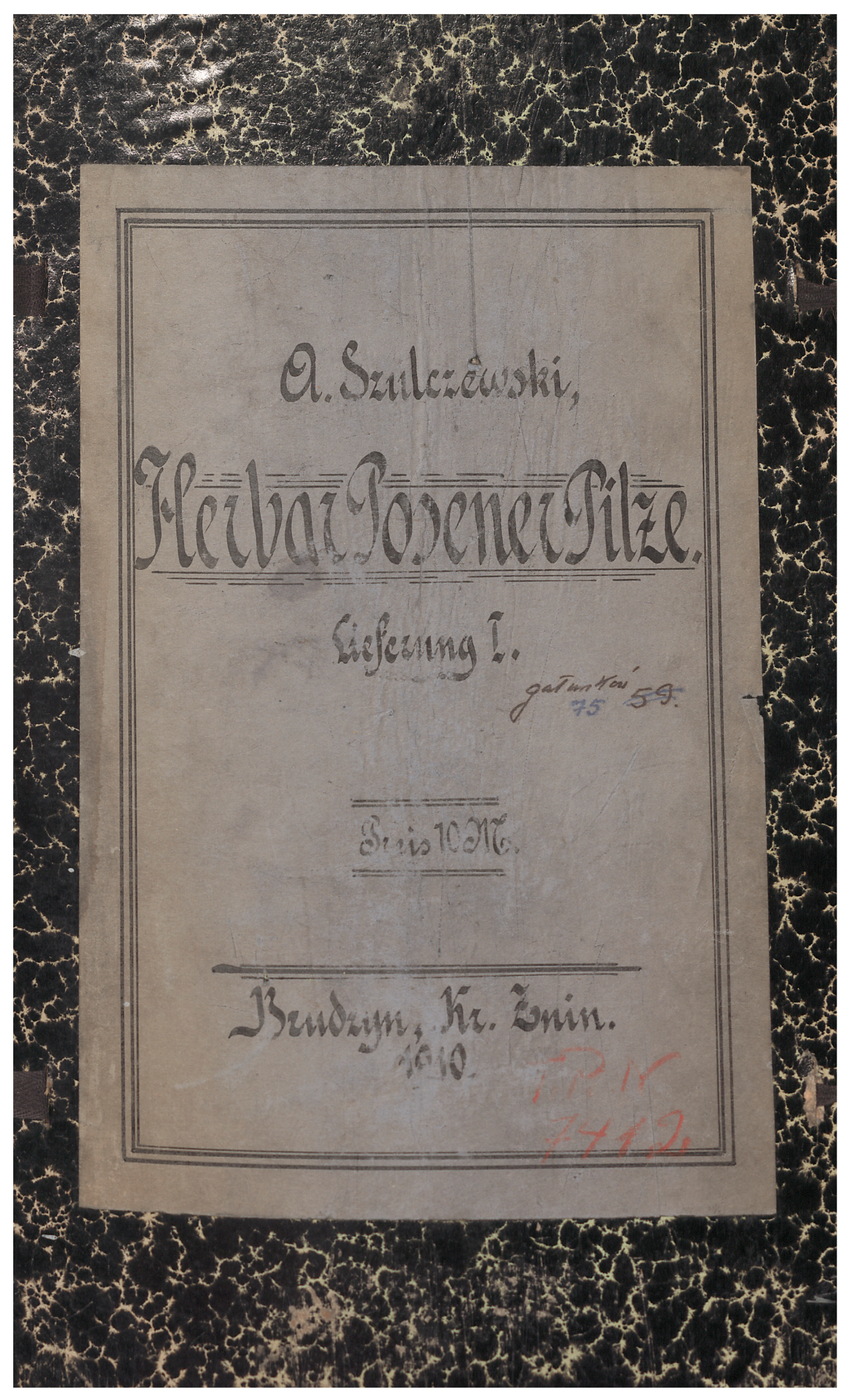 Diversity 16 00387 g002