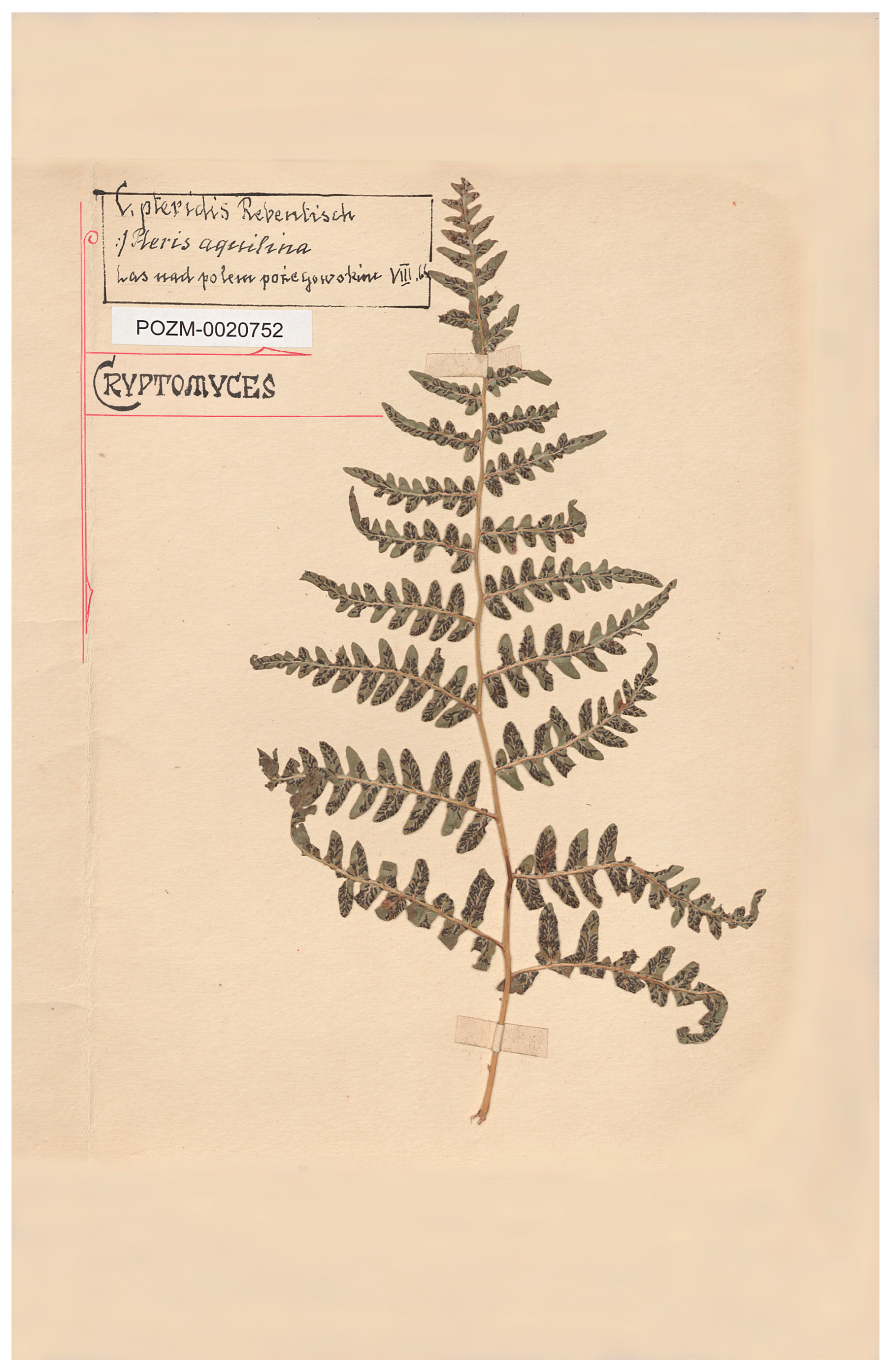 Diversity 16 00387 g006