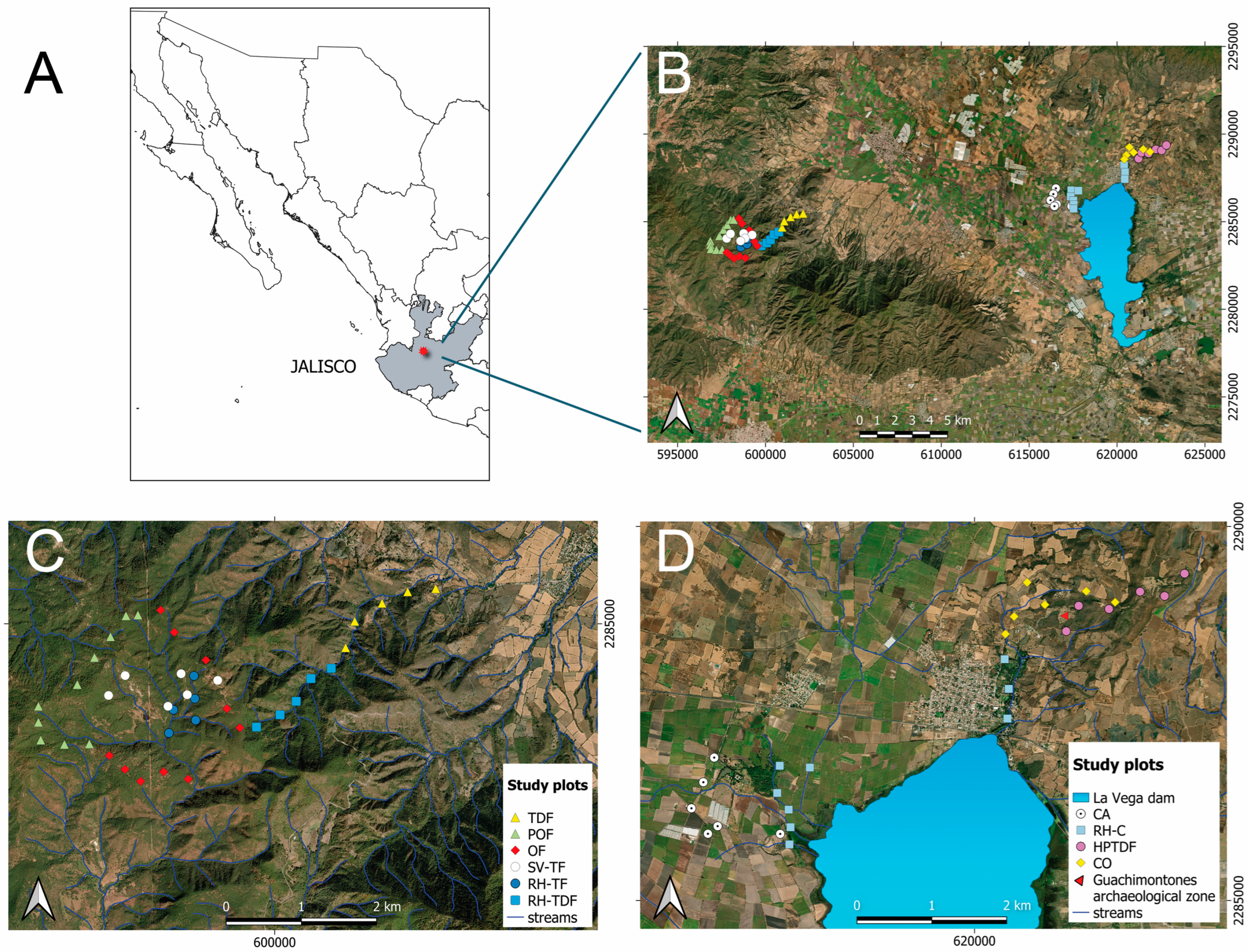 Diversity 16 00394 g001