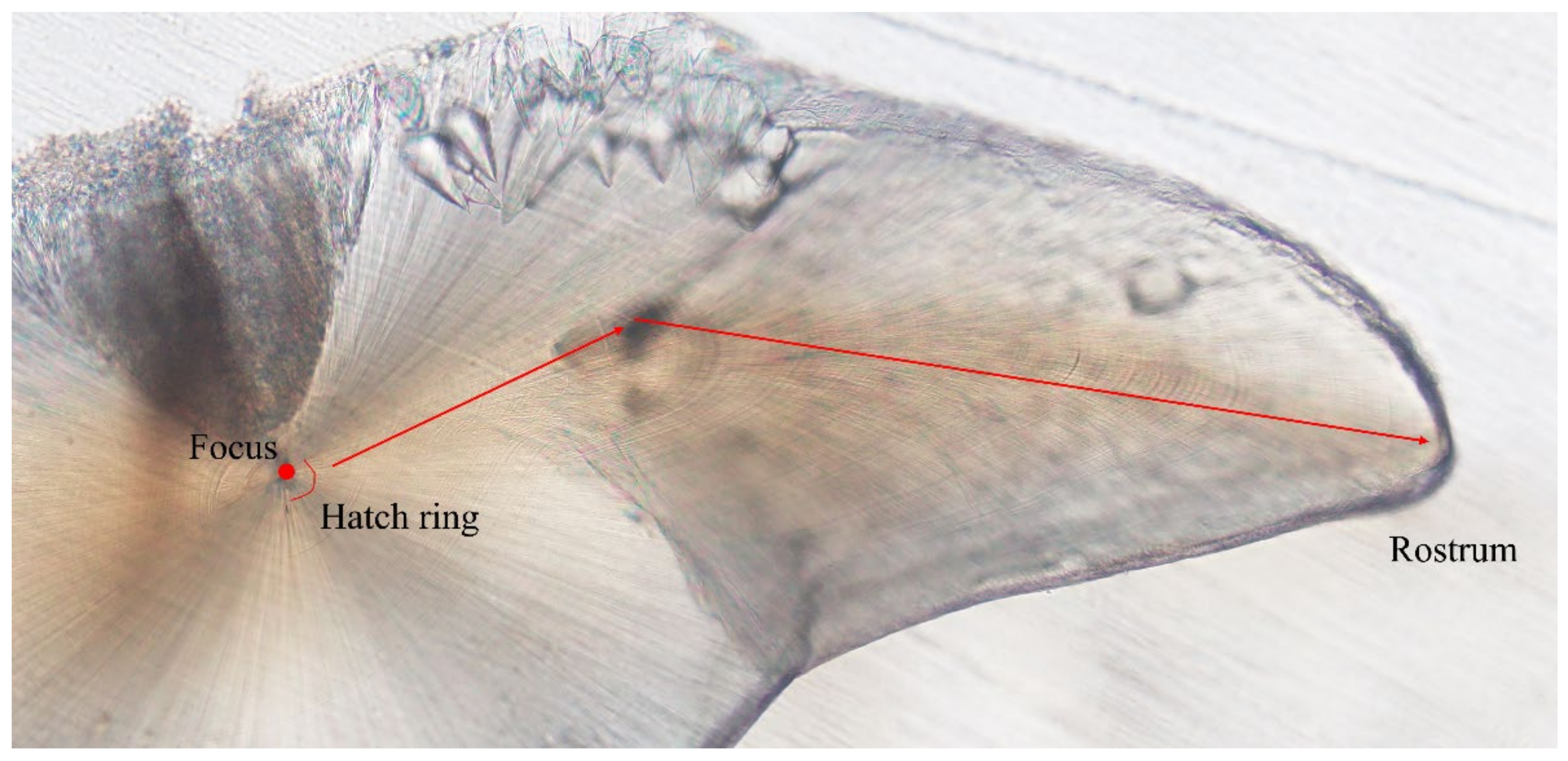 Diversity 16 00395 g002 Diversity 16 00395 g002