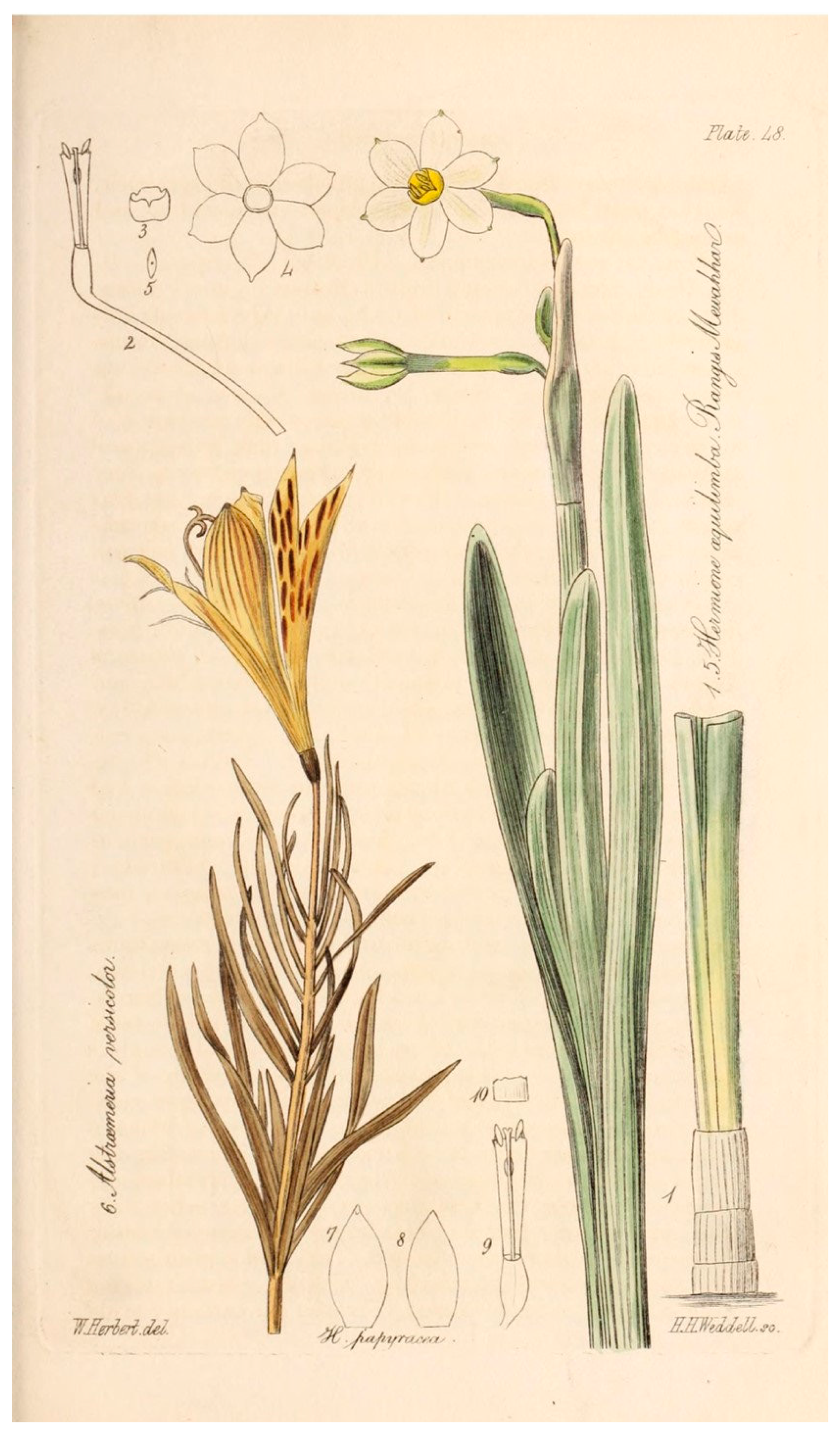 Diversity 16 00397 g007