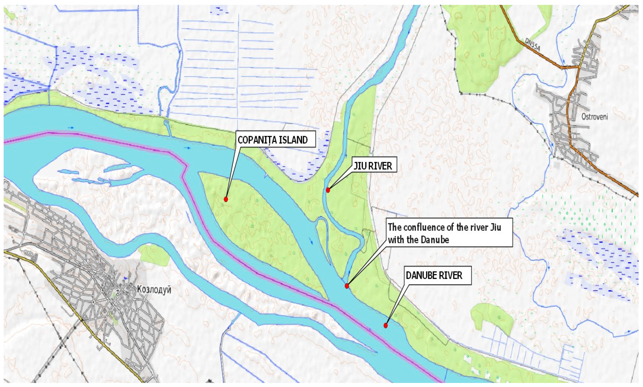 Diversity 16 00400 g001