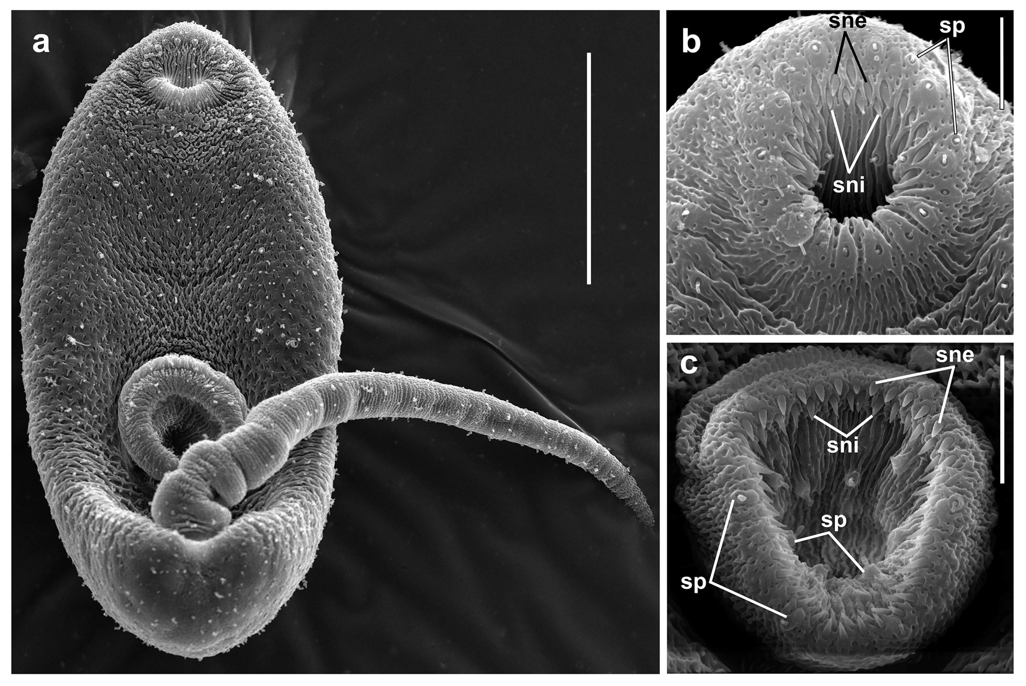 Diversity 16 00402 g007