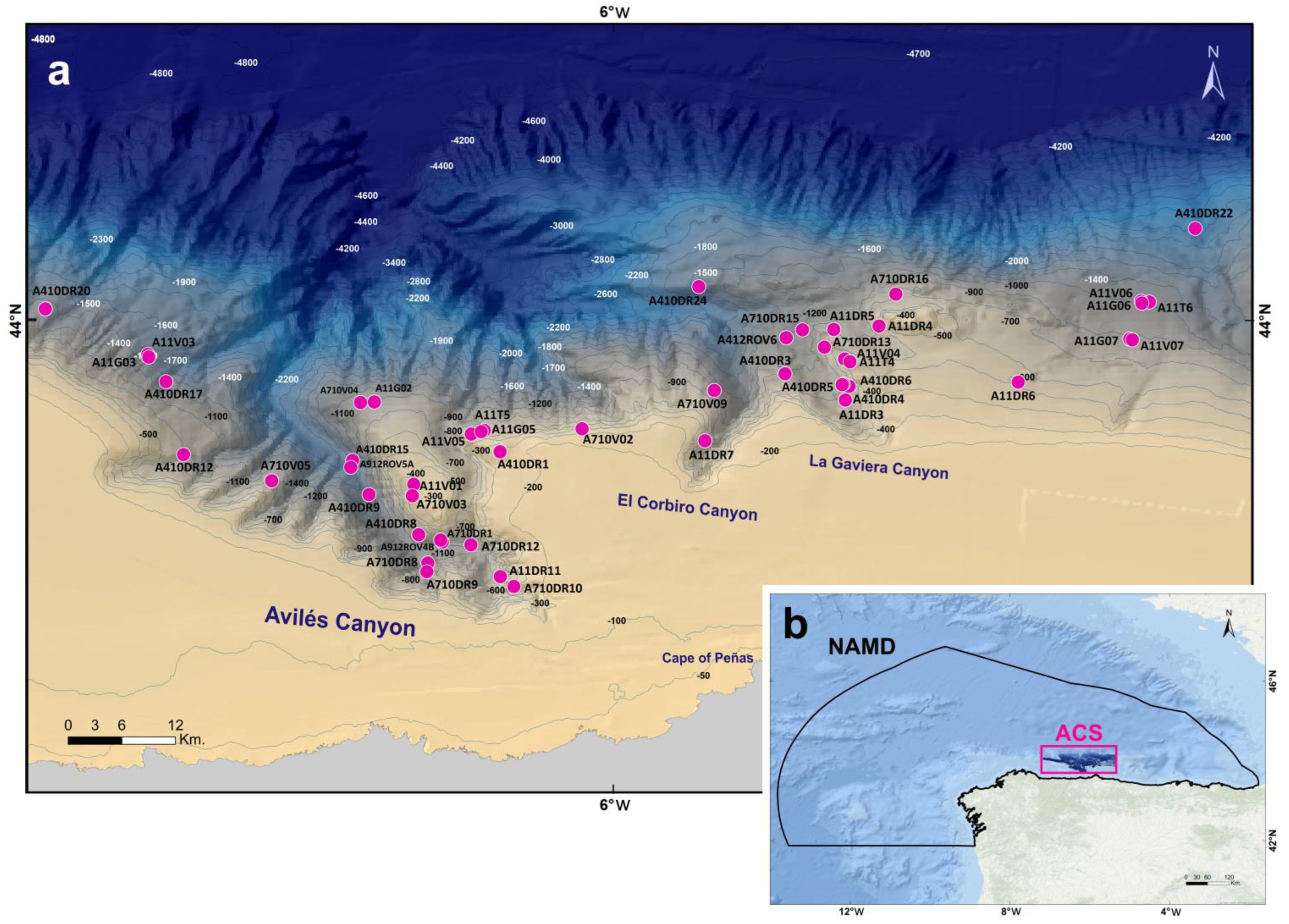 Diversity 16 00407 g001