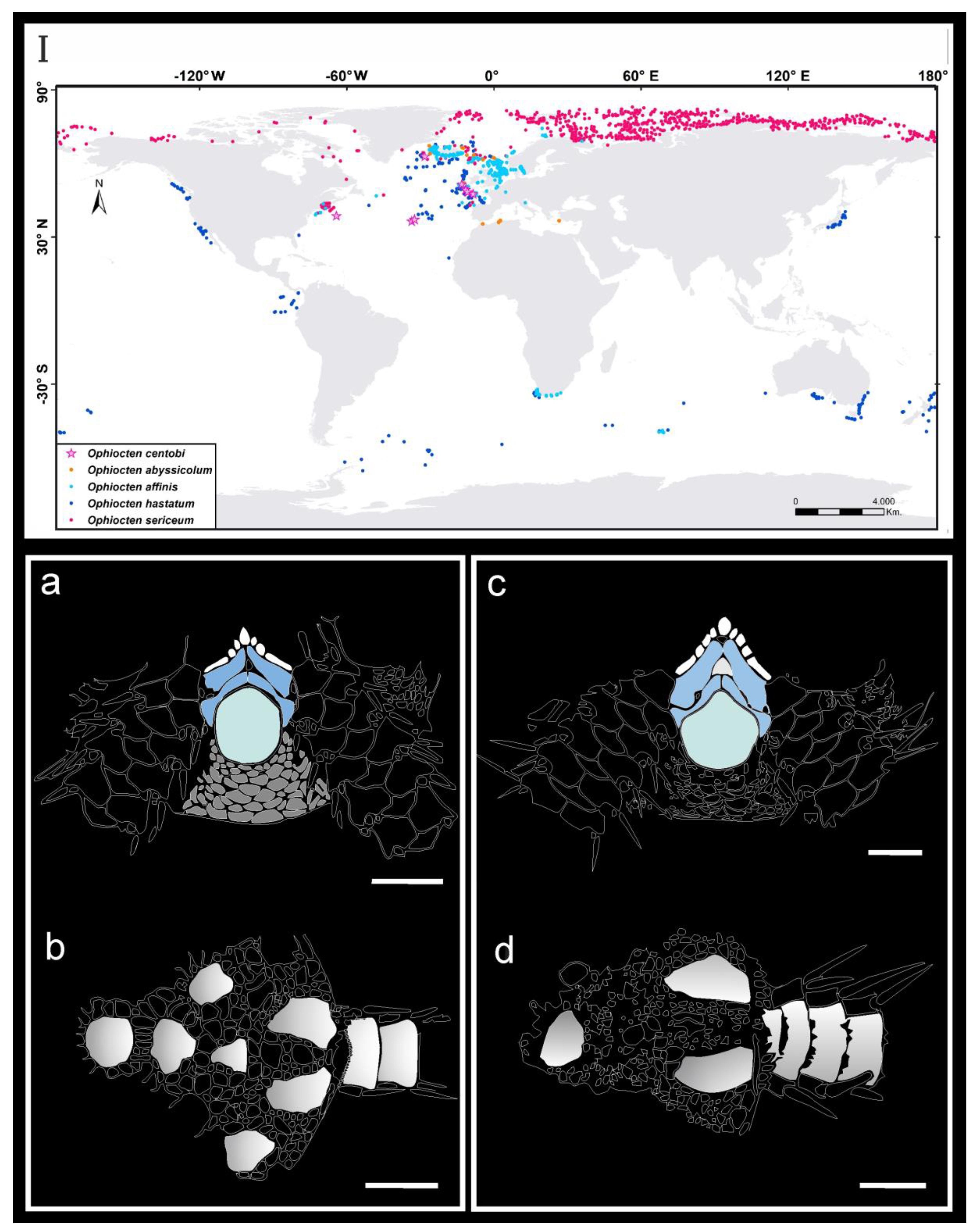 Diversity 16 00407 g003