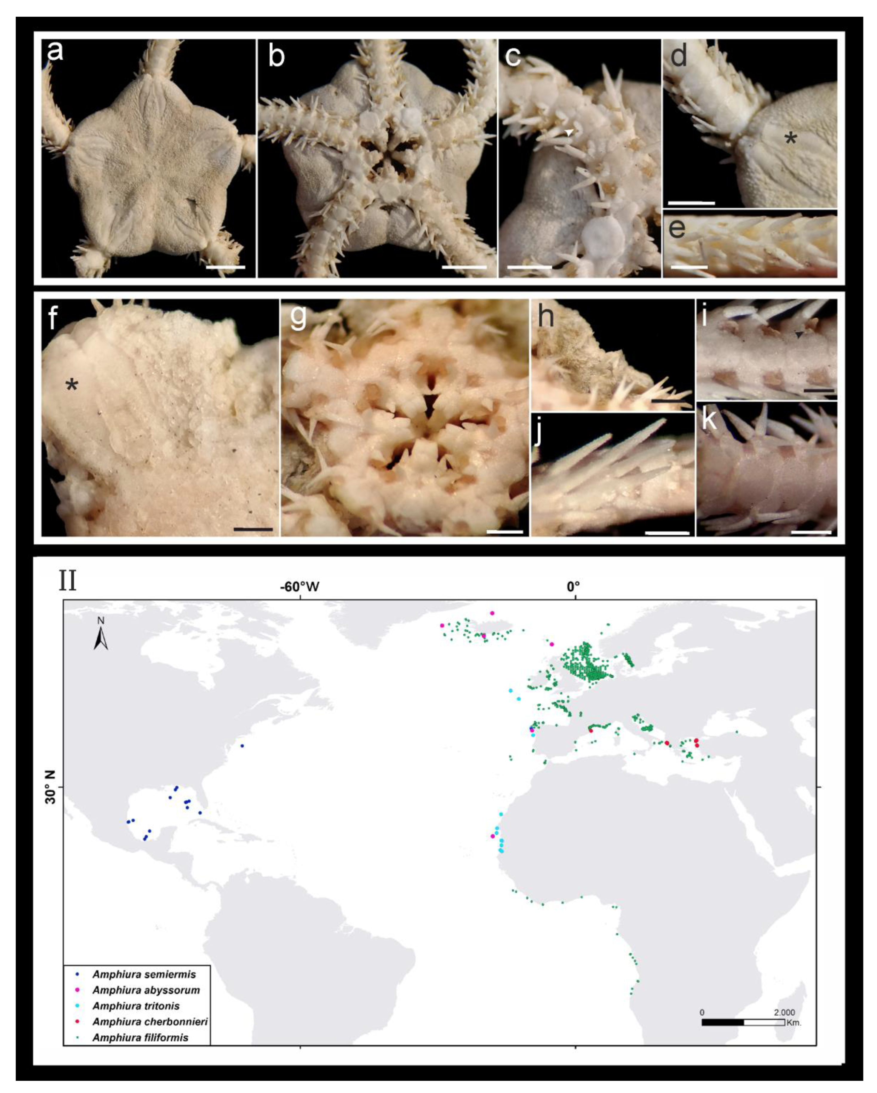 Diversity 16 00407 g006