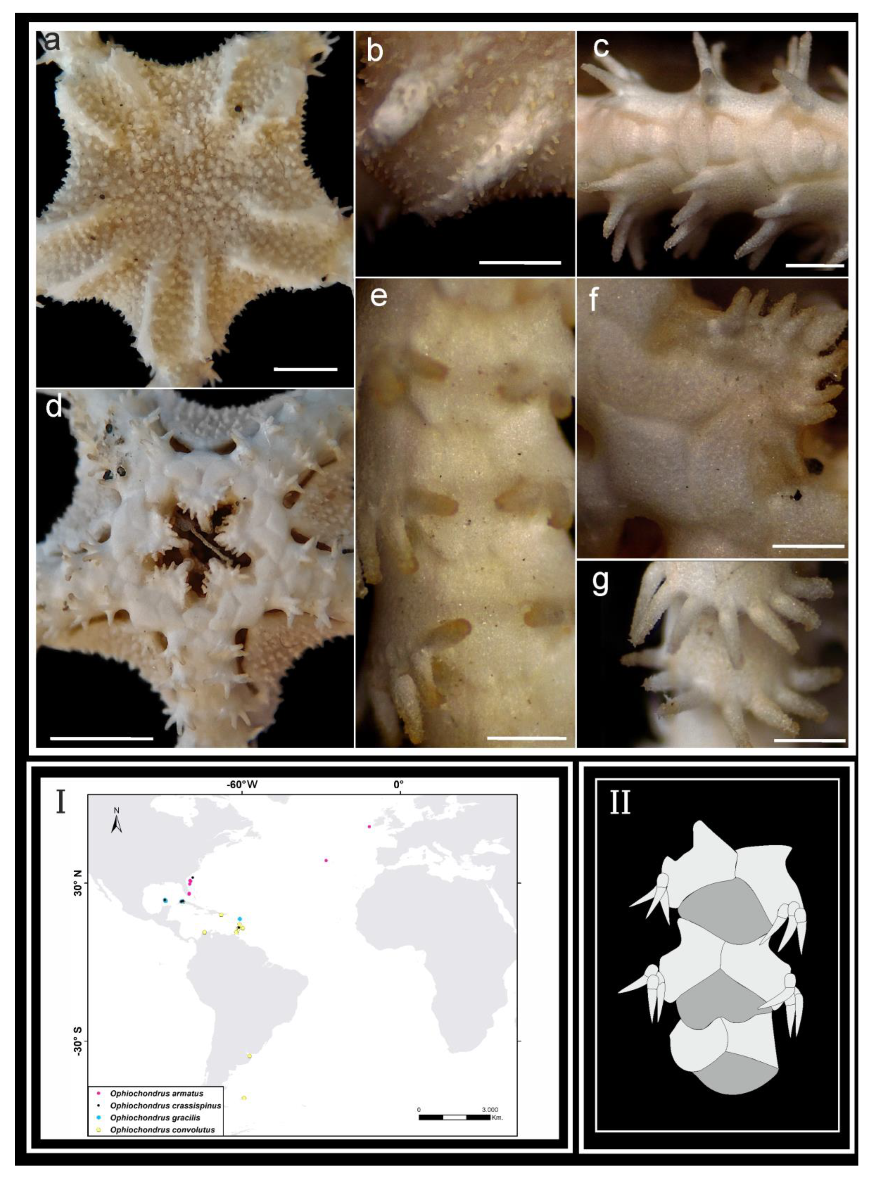 Diversity 16 00407 g007