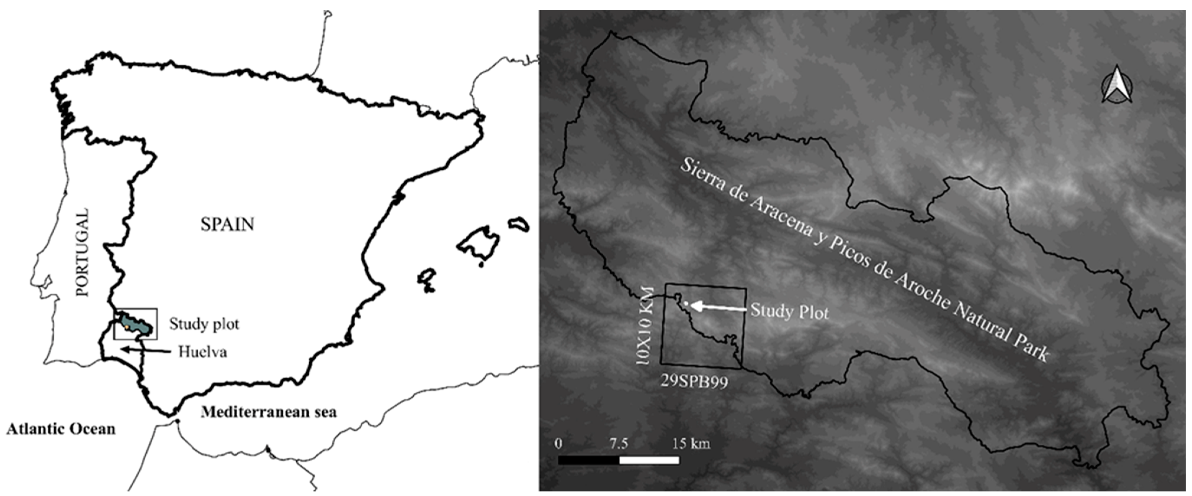 Diversity 16 00408 g001