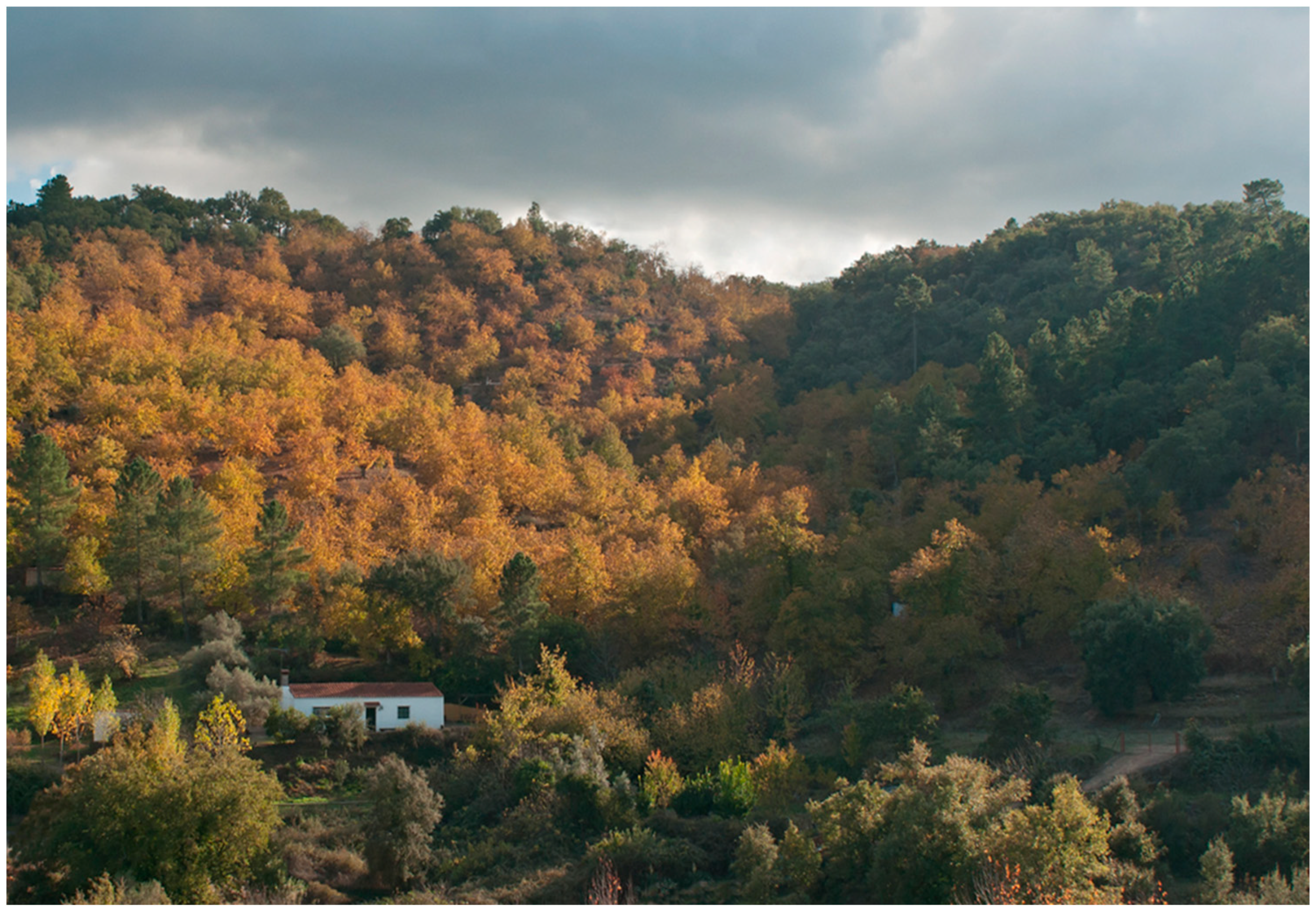 Diversity 16 00408 g002