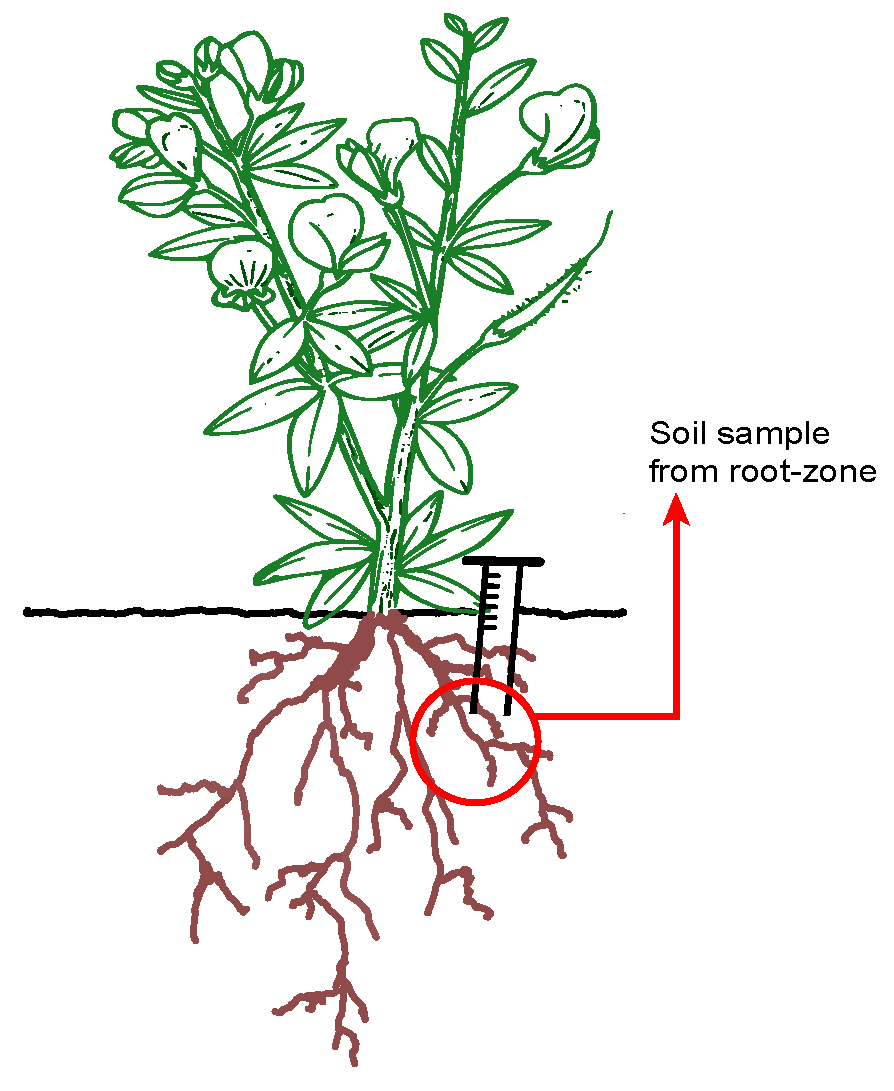 Diversity 16 00410 g001