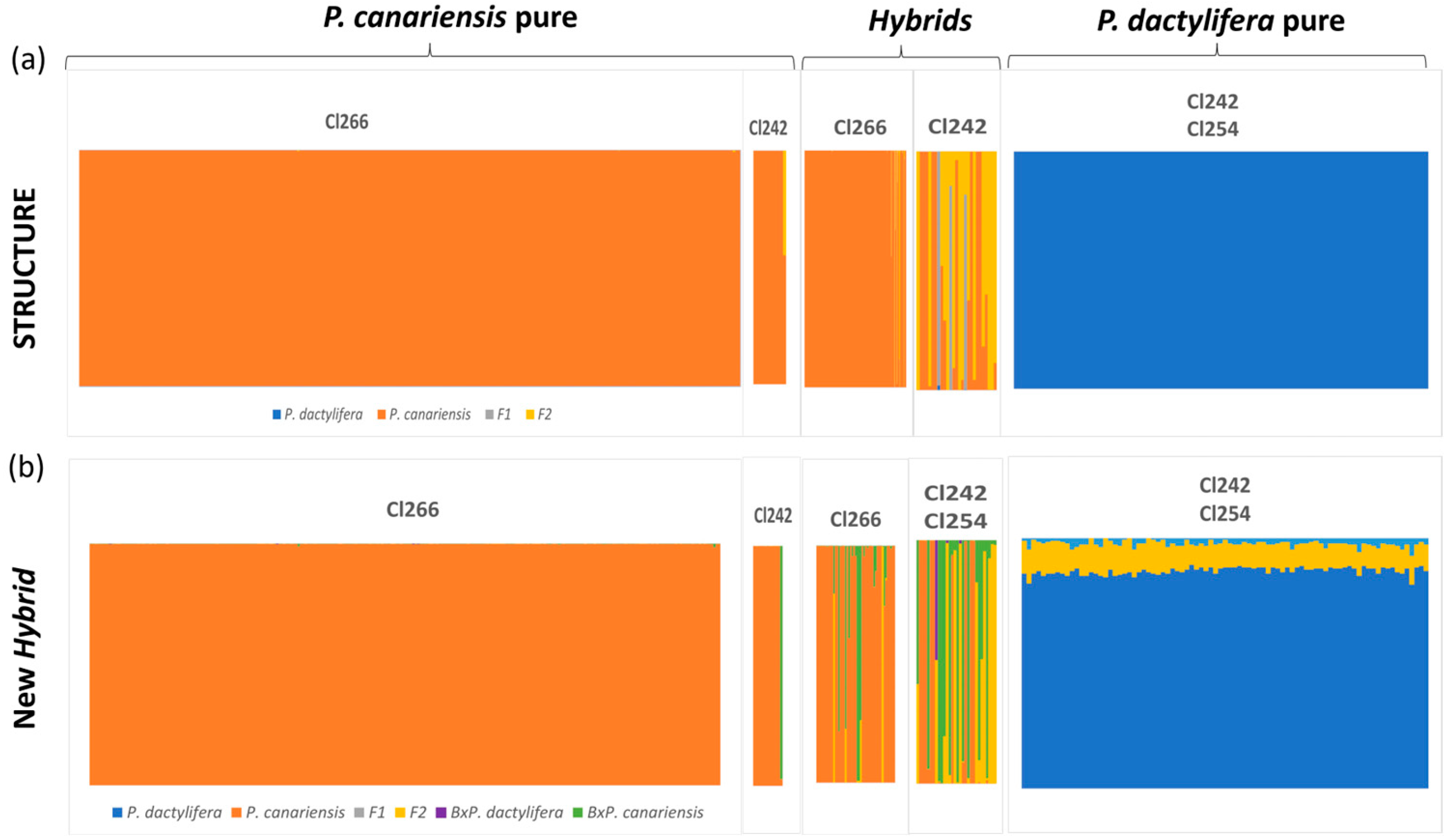 Diversity 16 00411 g002