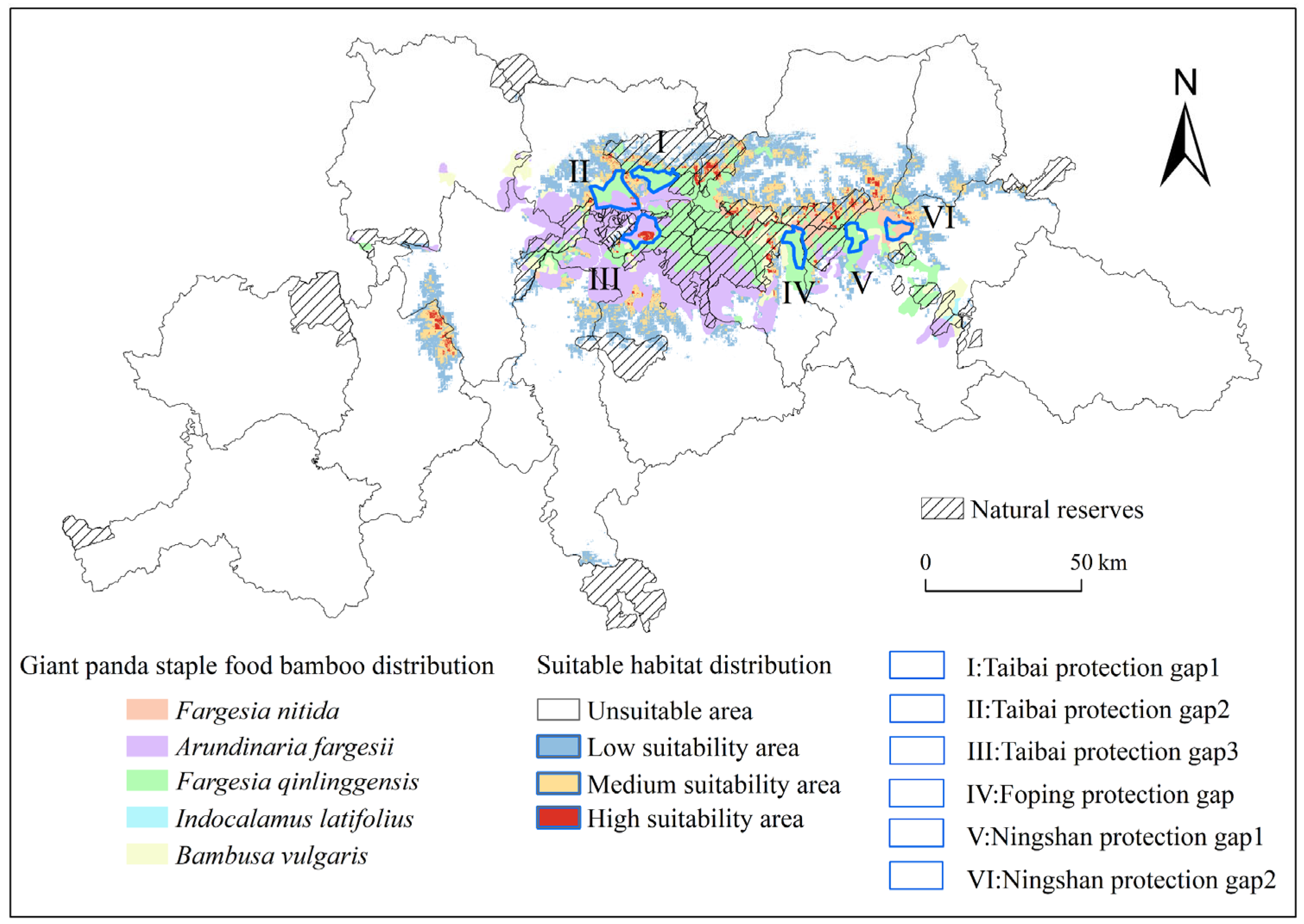 Diversity 16 00412 g007 Diversity 16 00412 g007