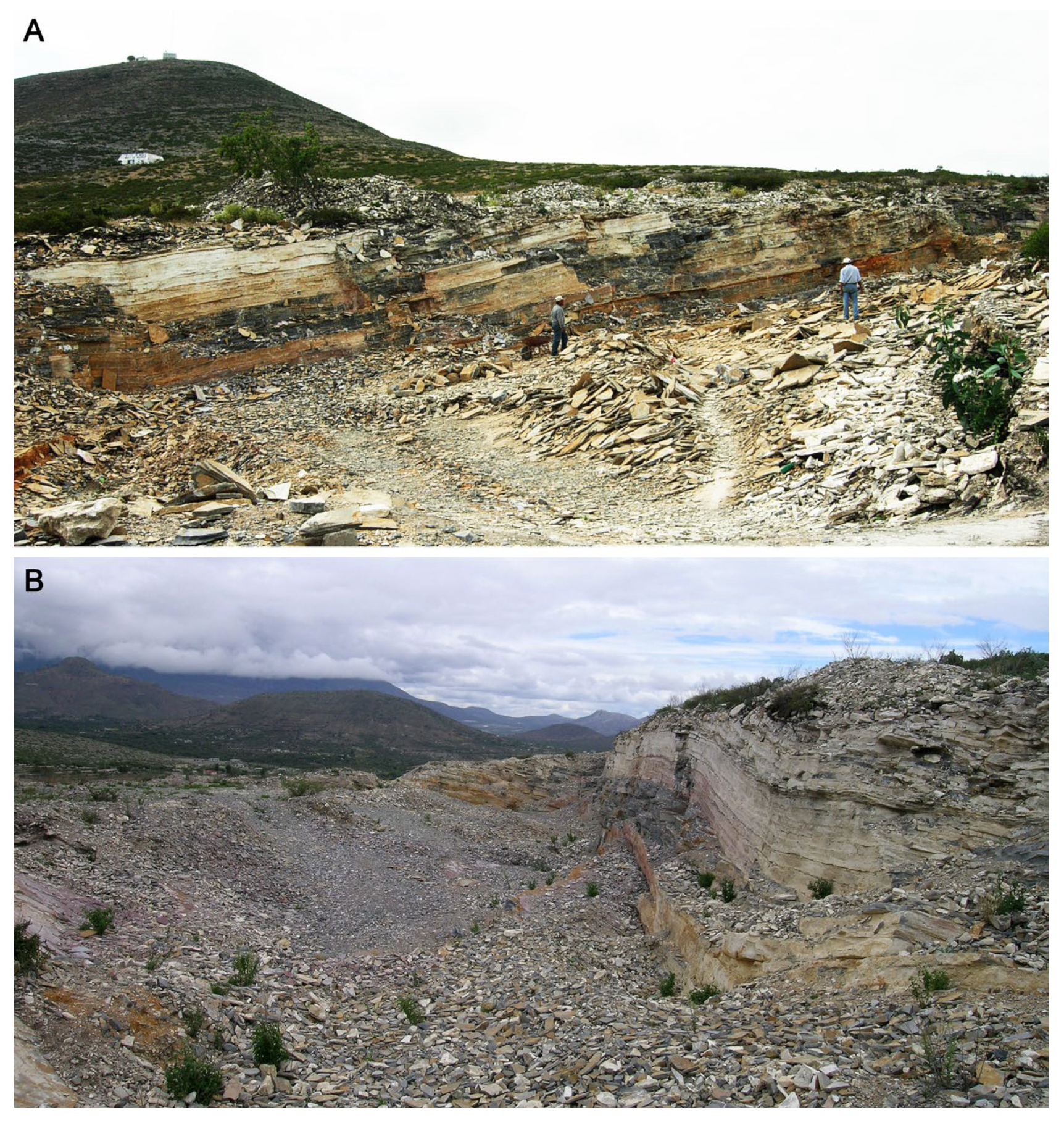 Diversity 16 00414 g001