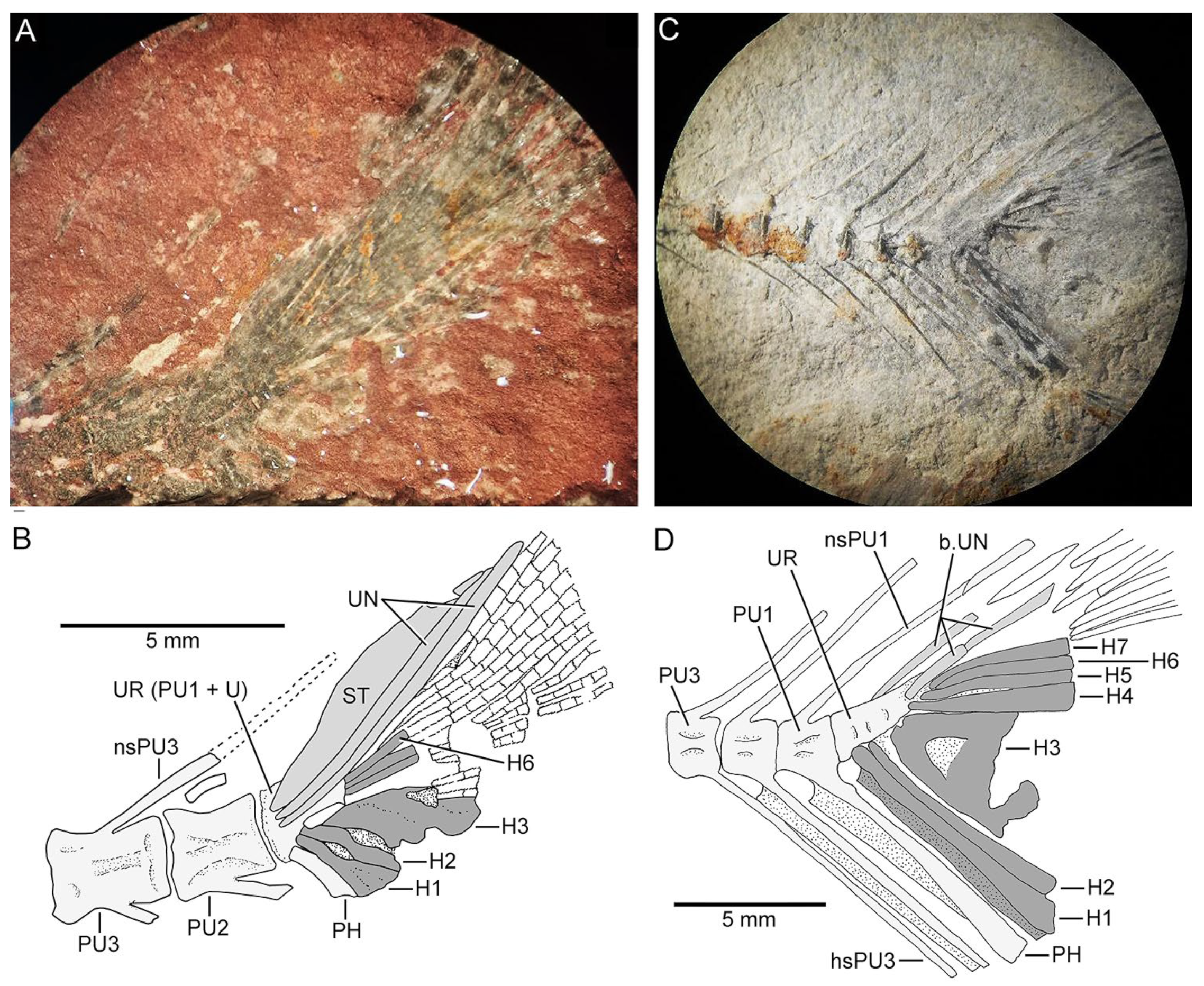 Diversity 16 00414 g010