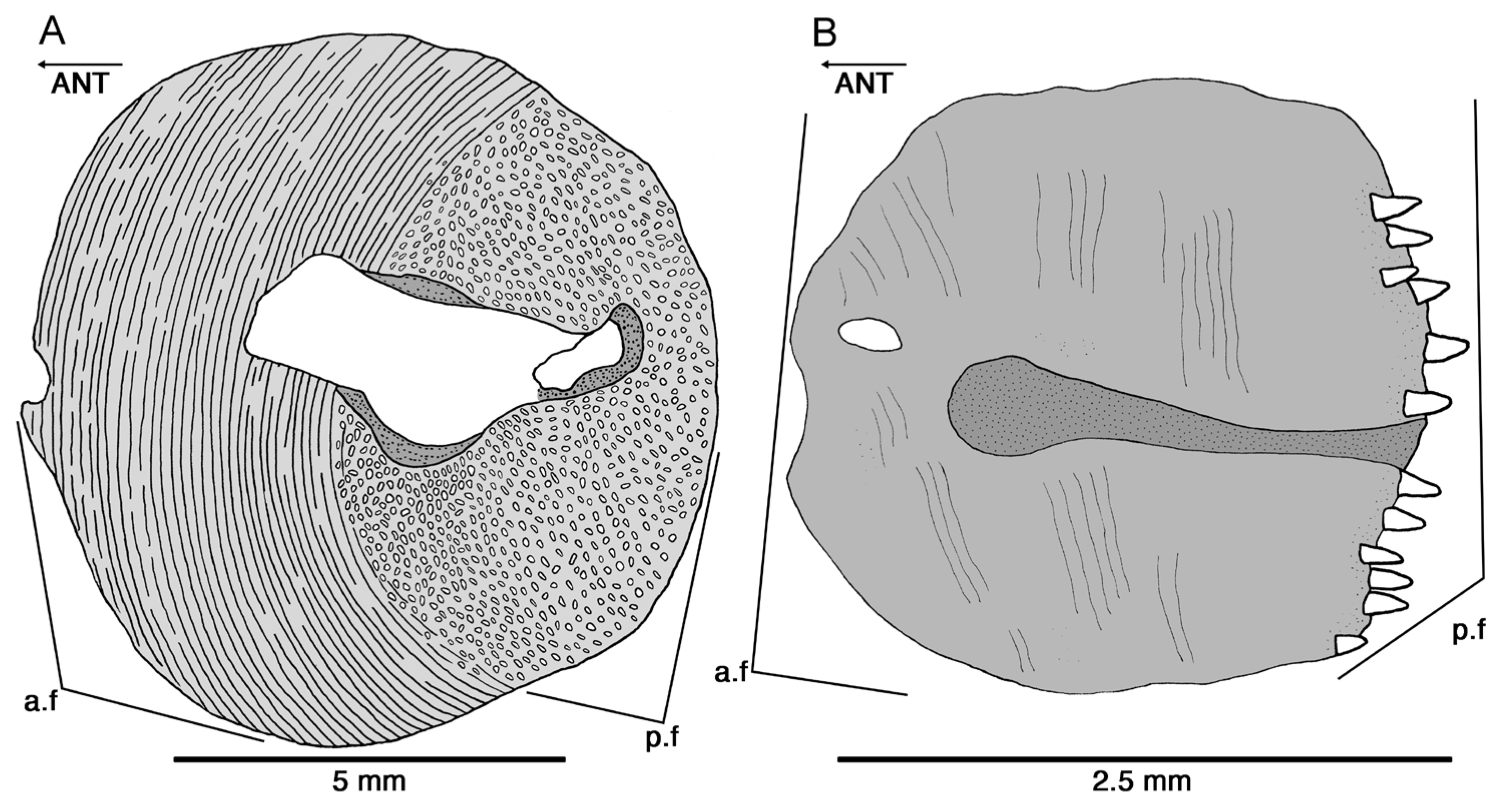 Diversity 16 00414 g011