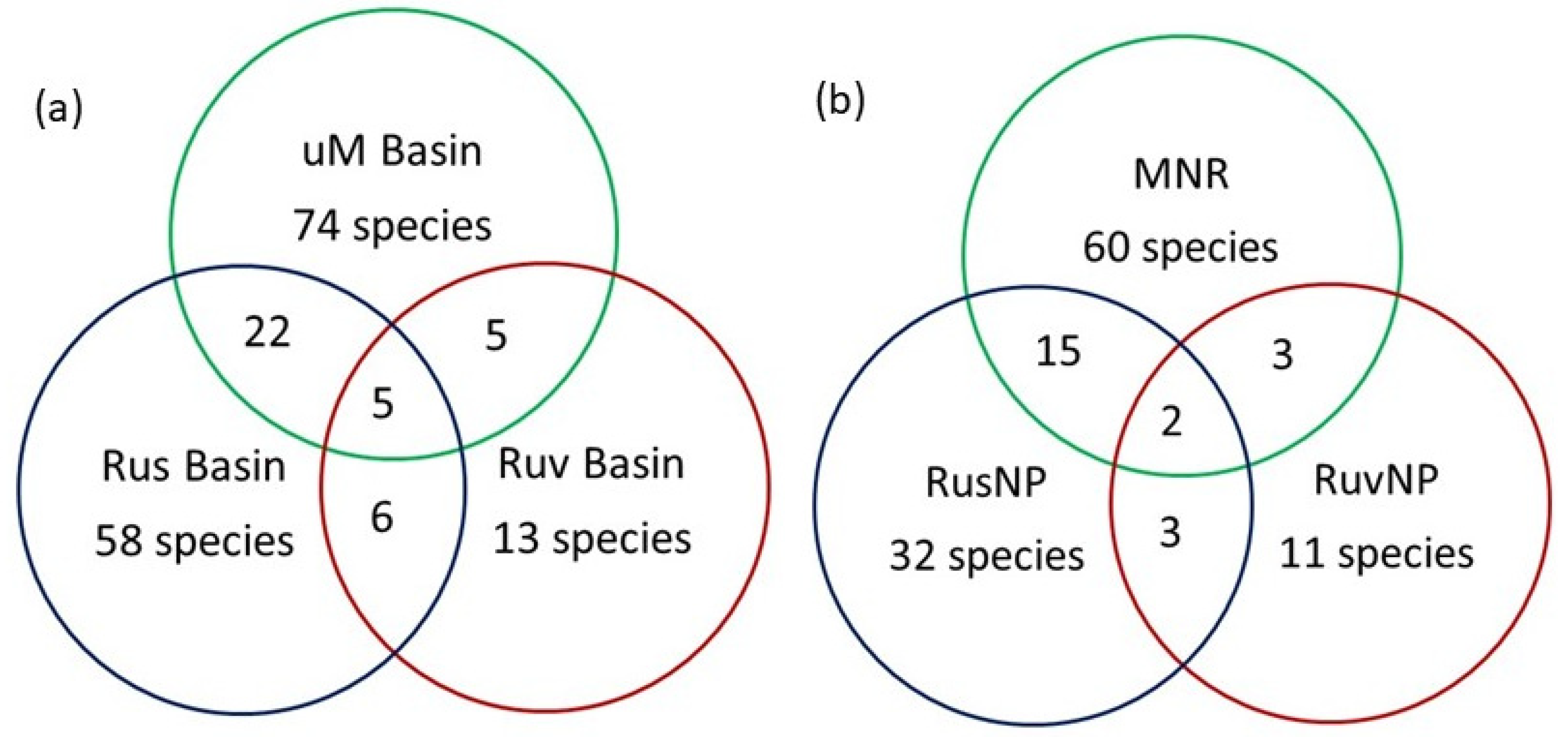 Diversity 16 00417 g004