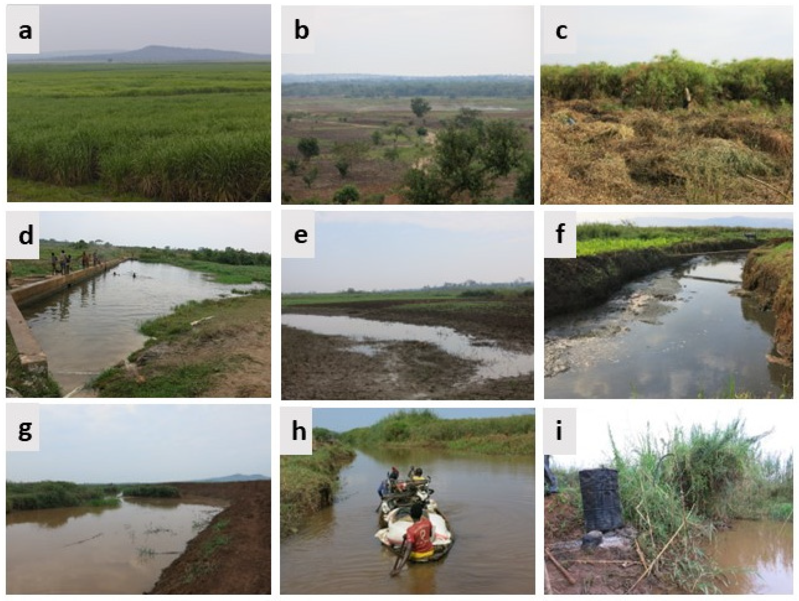 Diversity 16 00417 g005