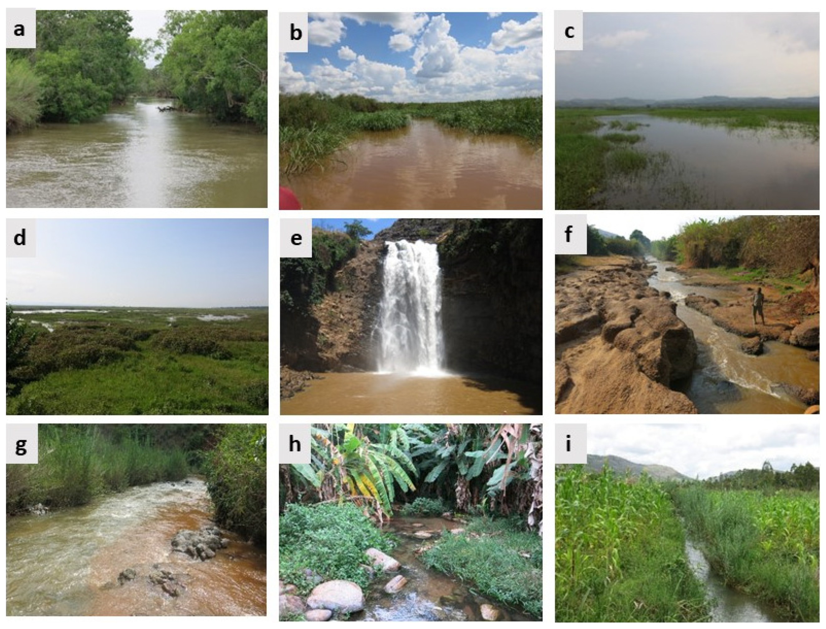 Diversity 16 00417 g0a1