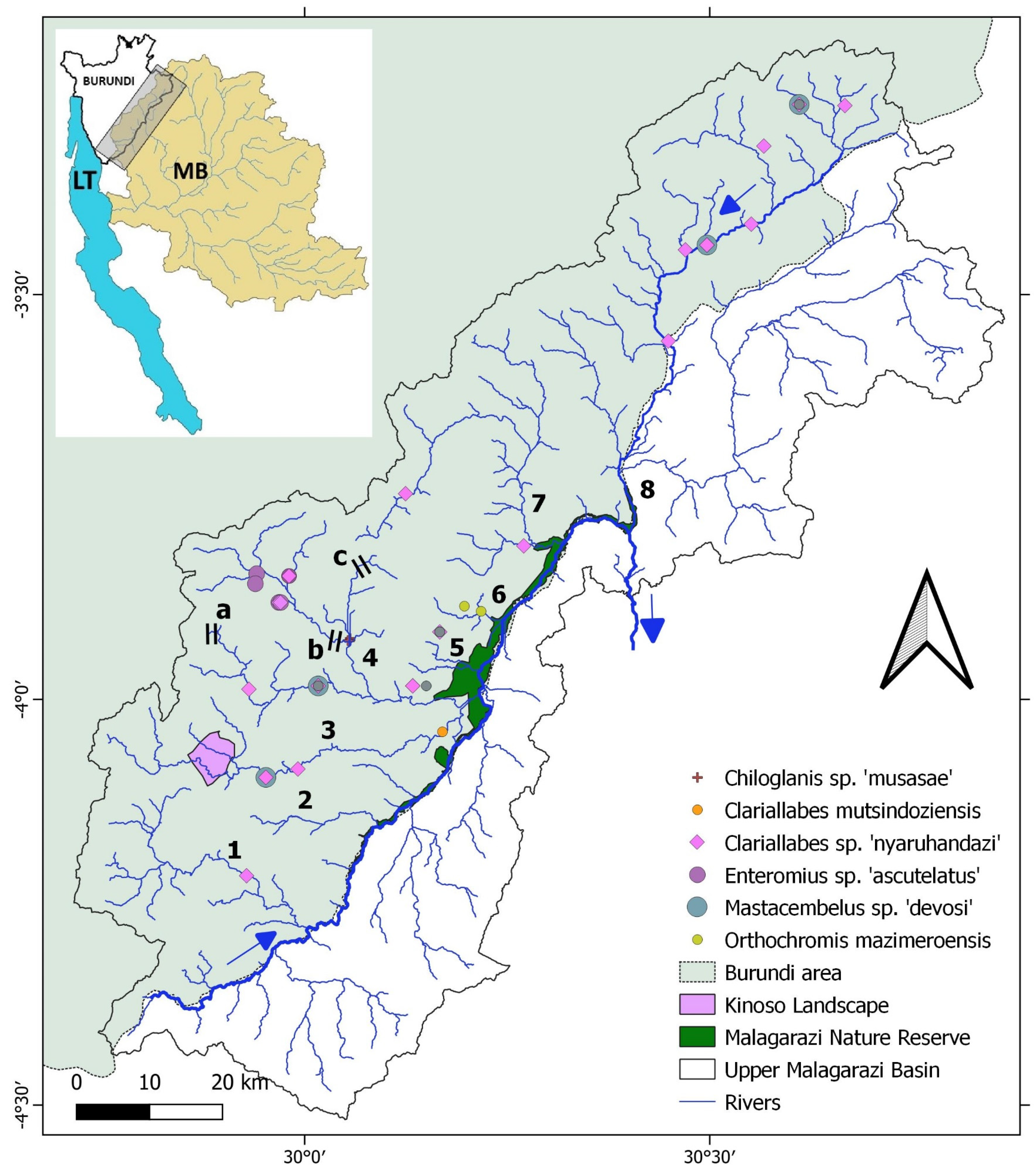 Diversity 16 00417 g0a4