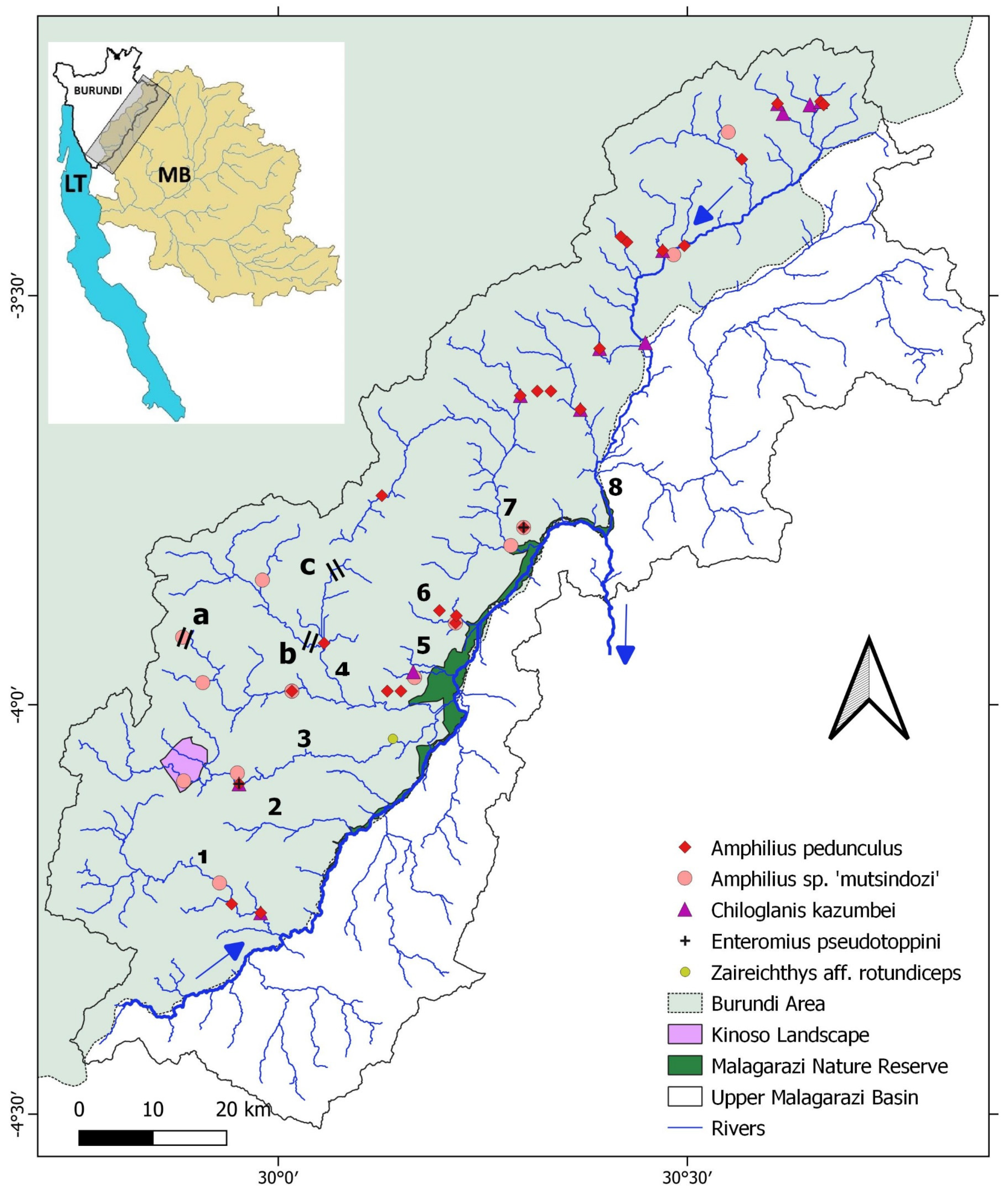 Diversity 16 00417 g0a5