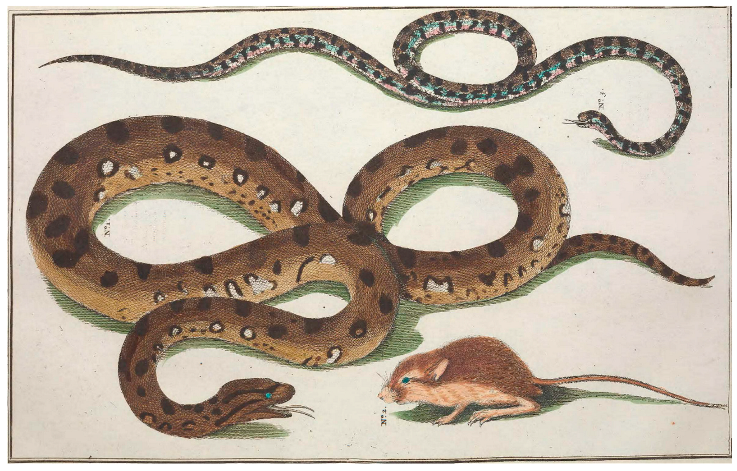 Diversity 16 00418 g004a