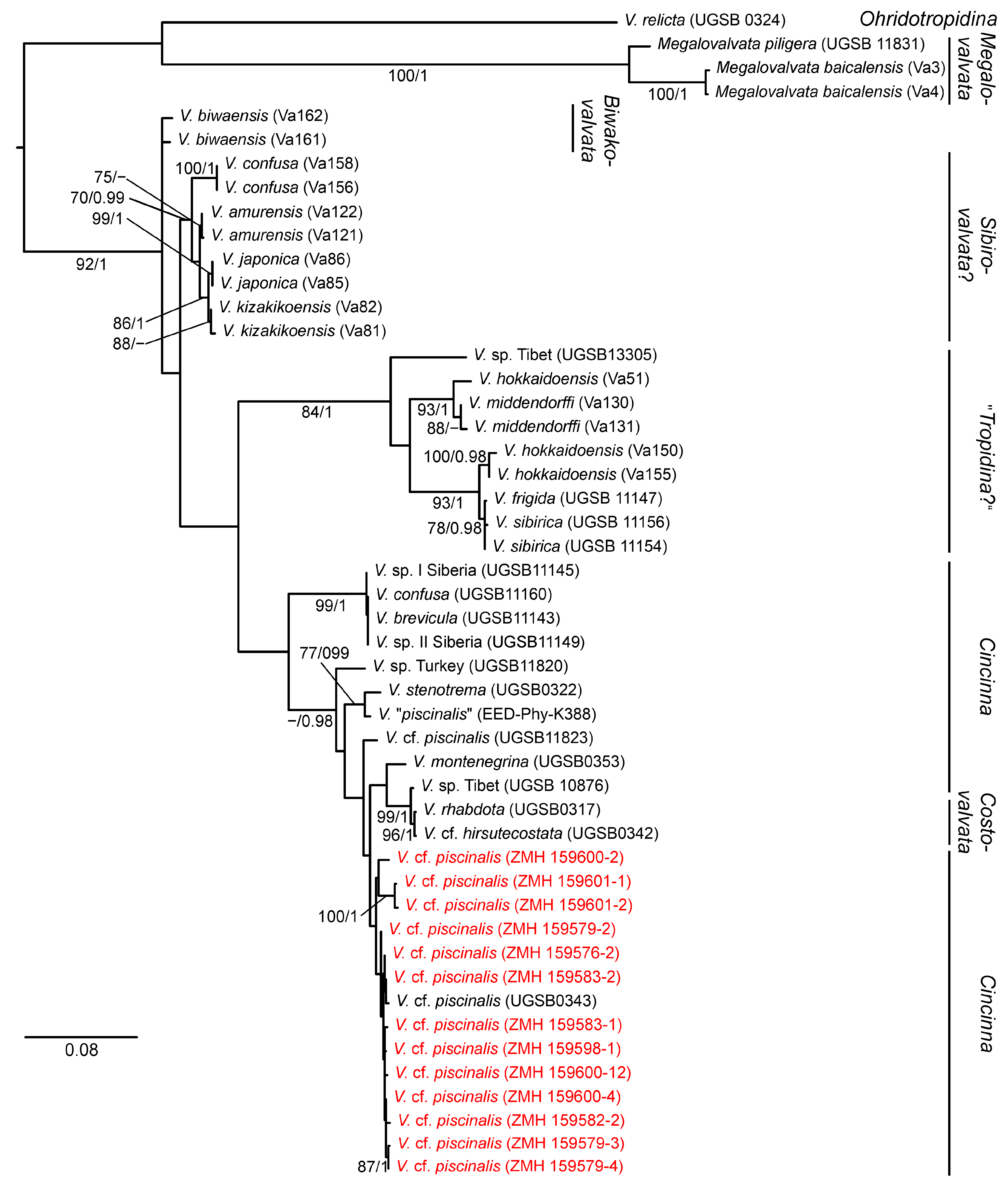 Diversity 16 00419 g004