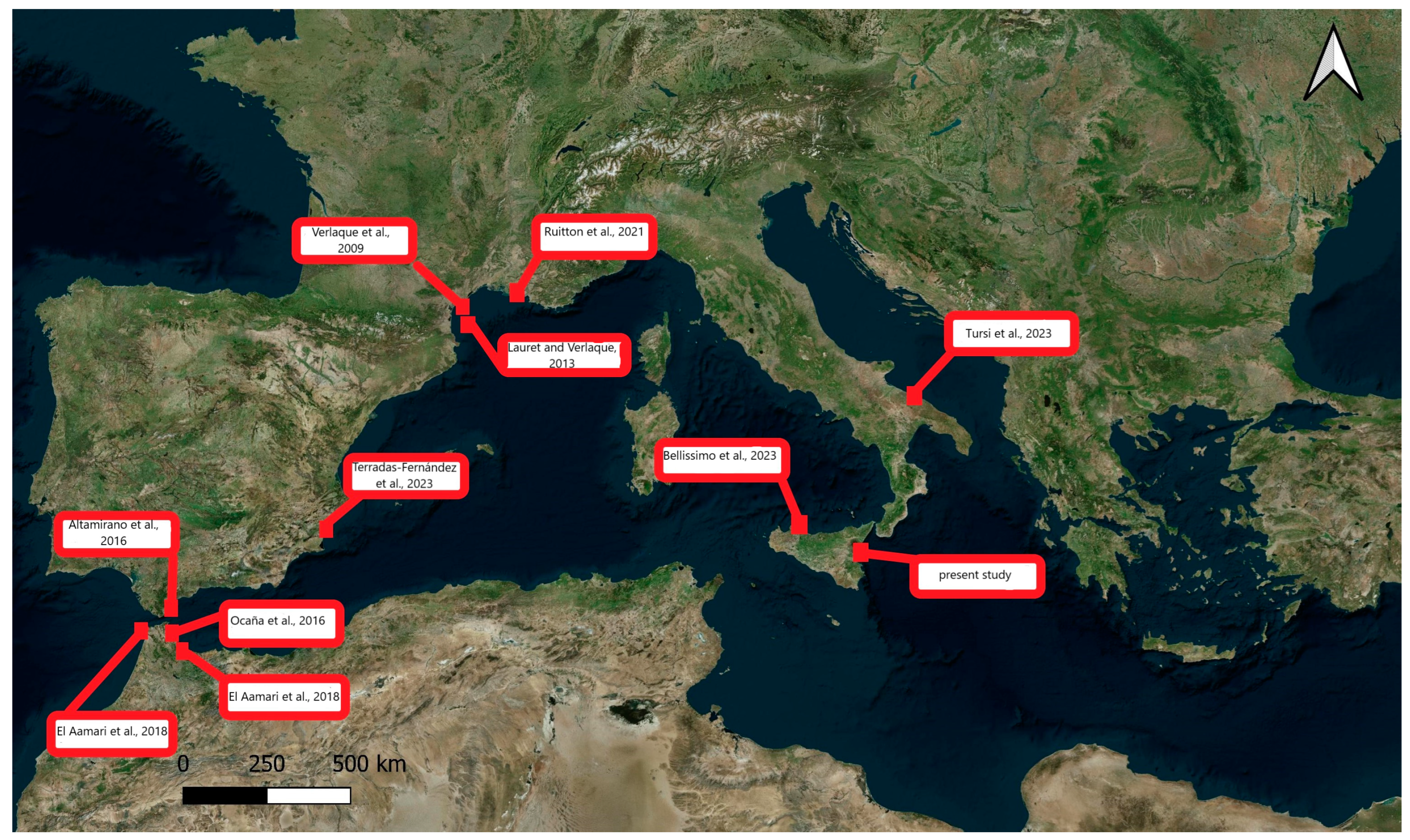 Diversity 16 00424 g001