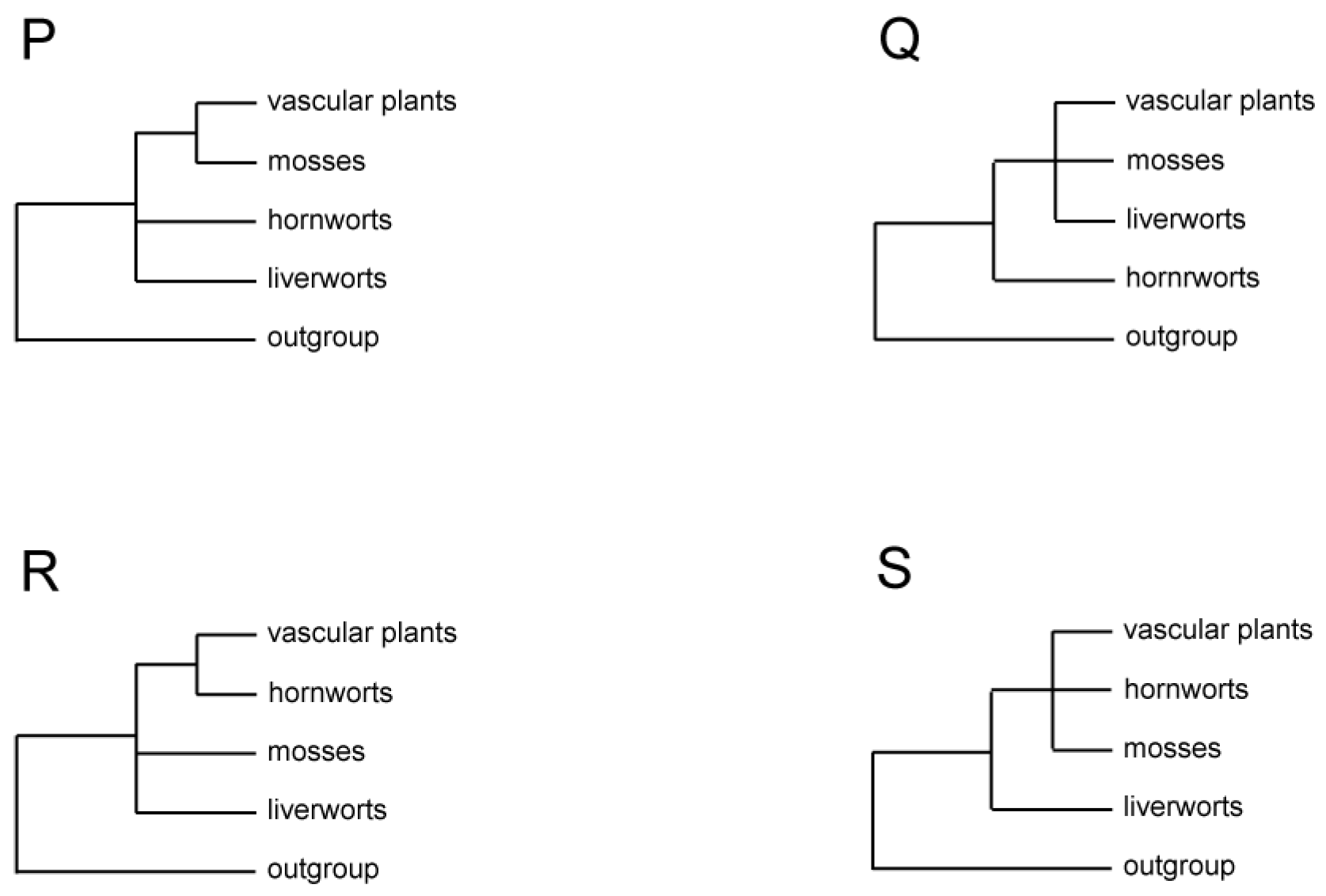 Diversity 16 00426 g003