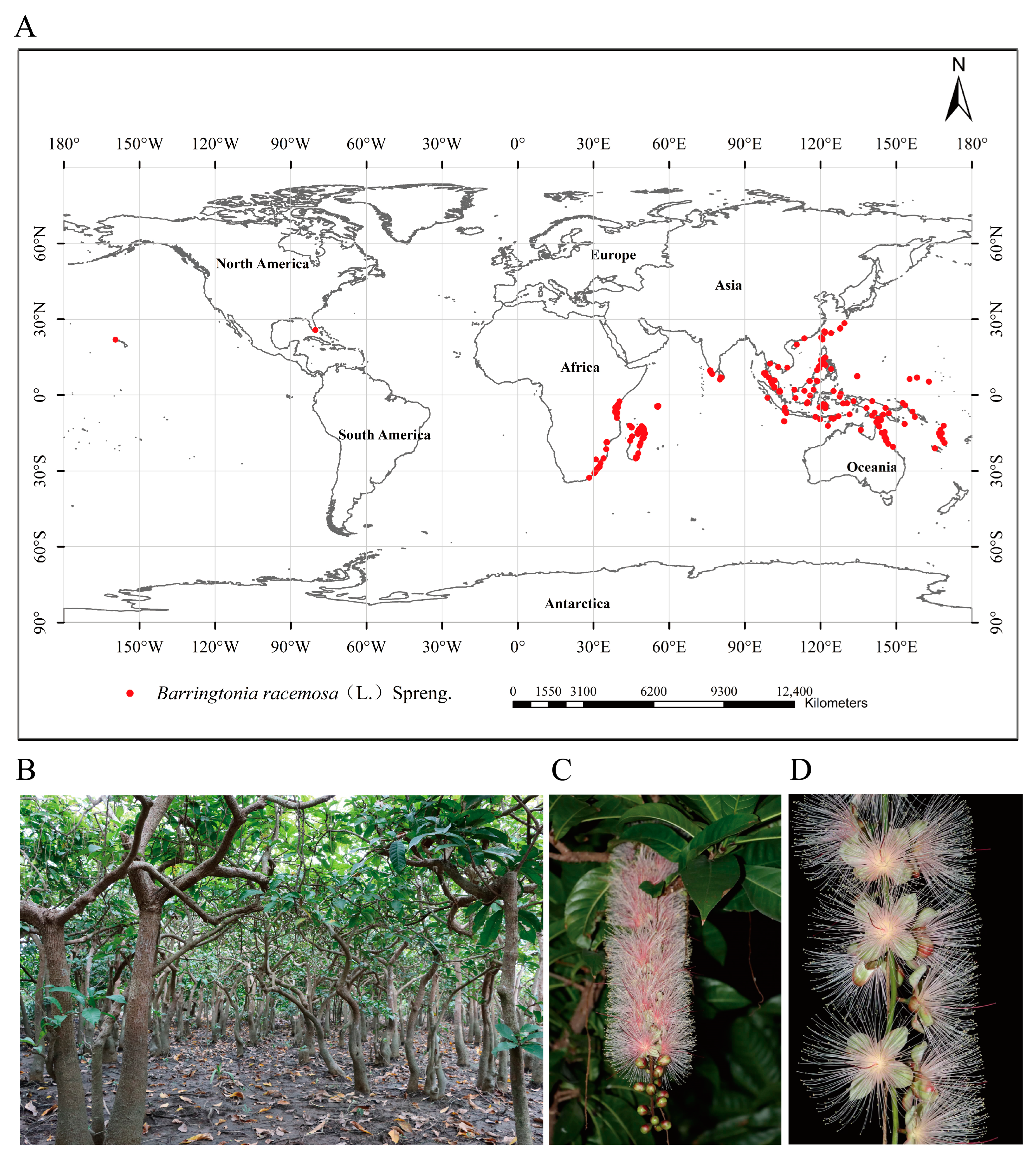 Diversity 16 00429 g001 Diversity 16 00429 g001