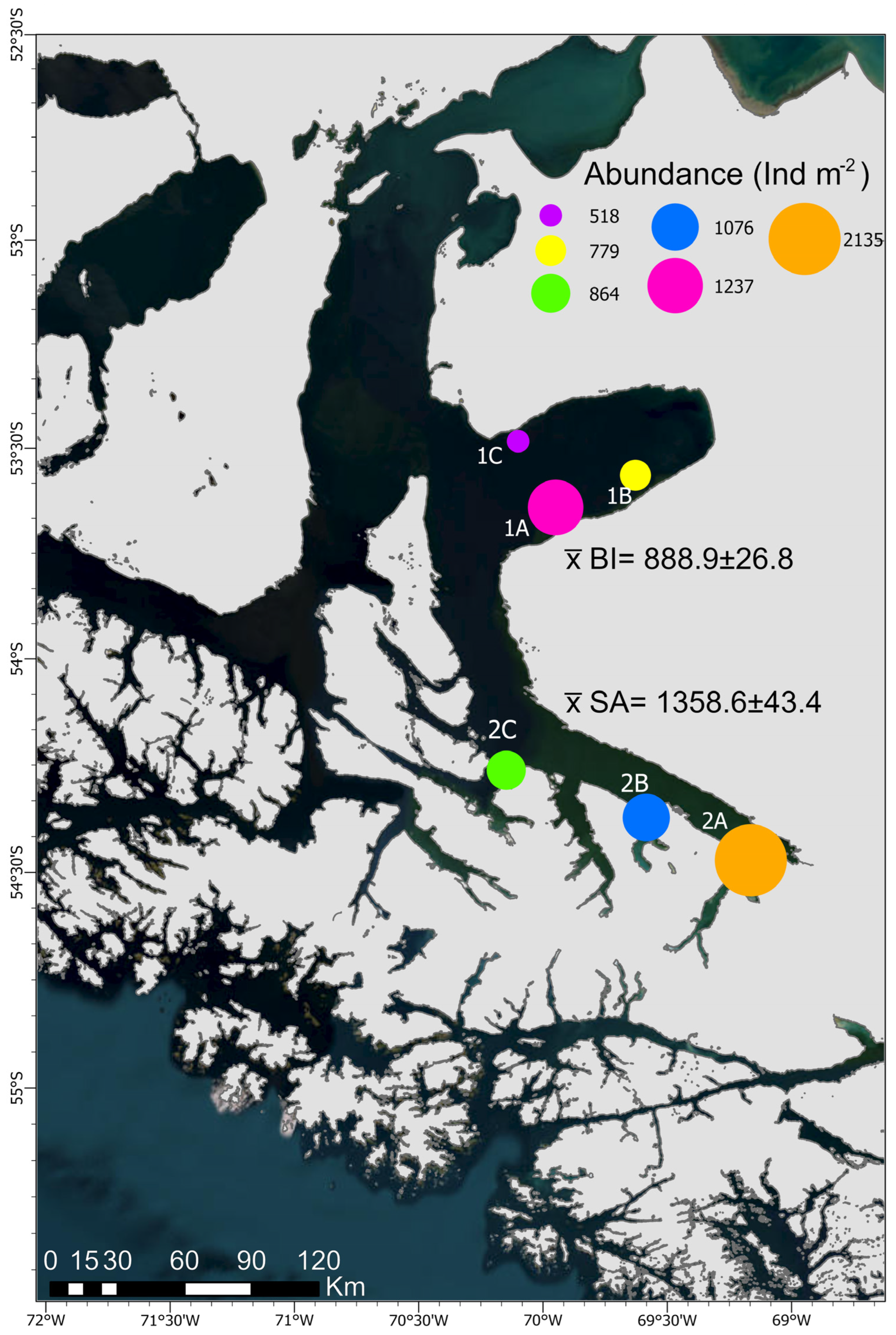 Diversity 16 00430 g002 Diversity 16 00430 g002