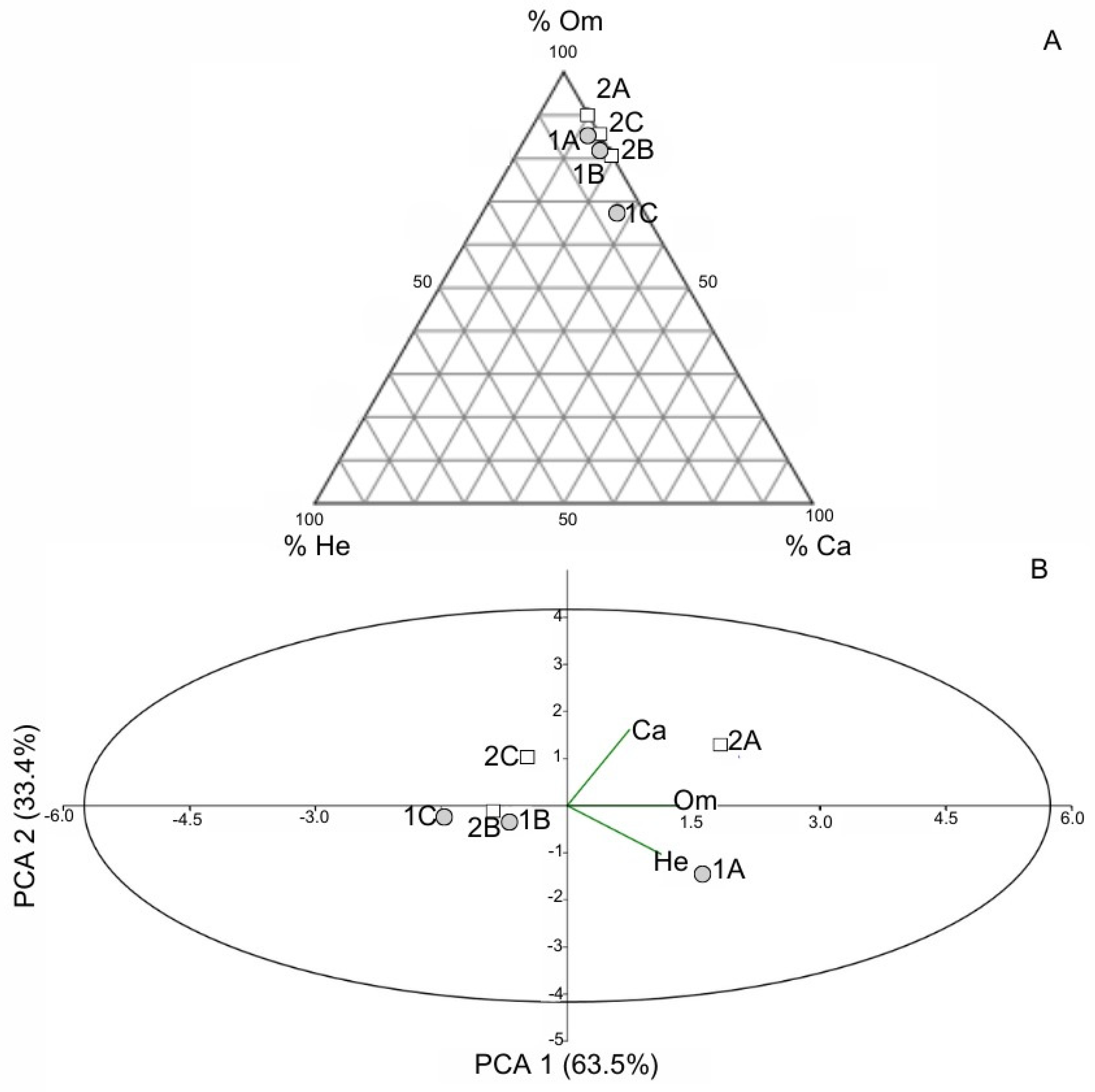 Diversity 16 00430 g006 Diversity 16 00430 g006