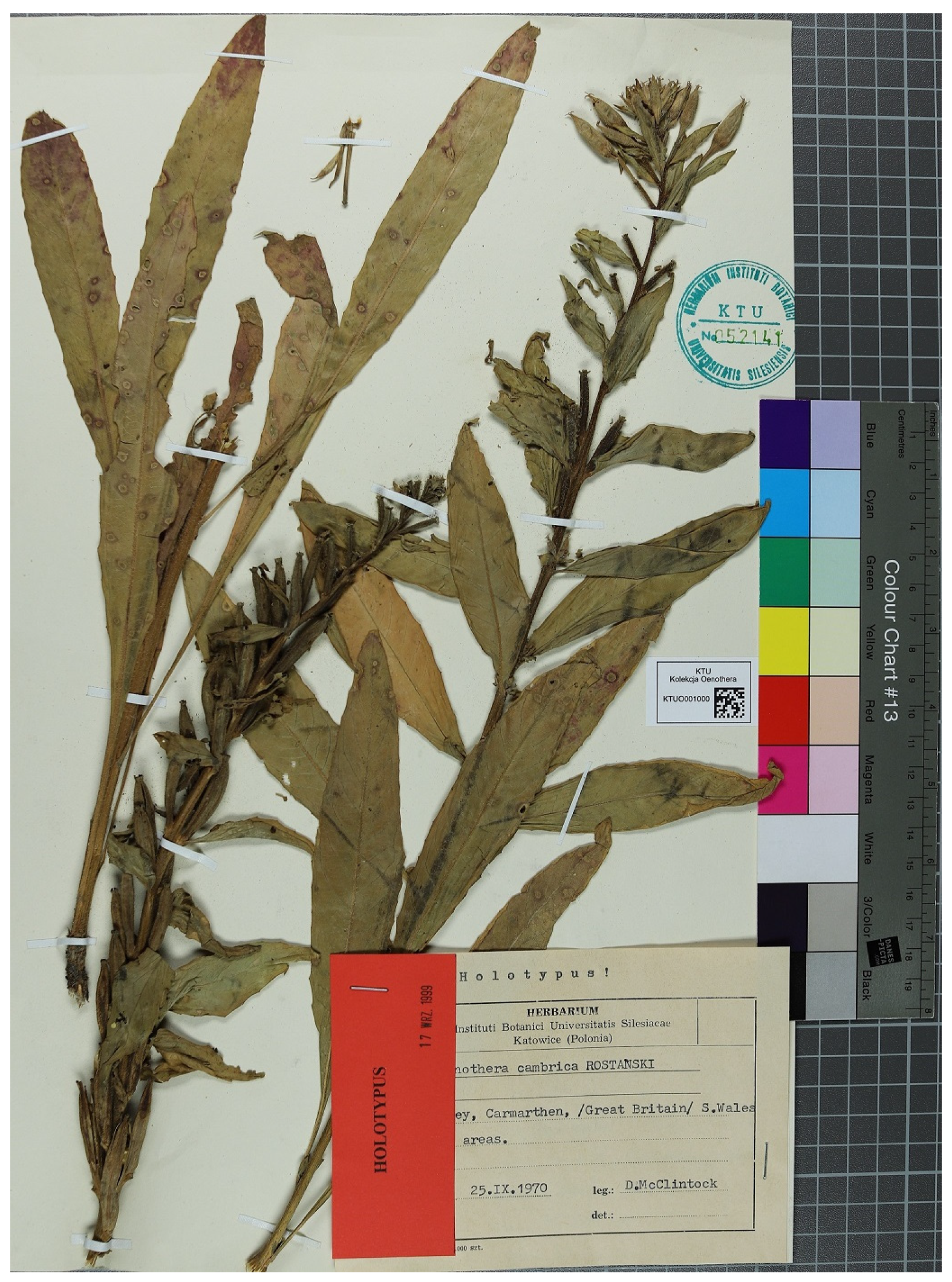 Diversity 16 00434 g002 Diversity 16 00434 g002