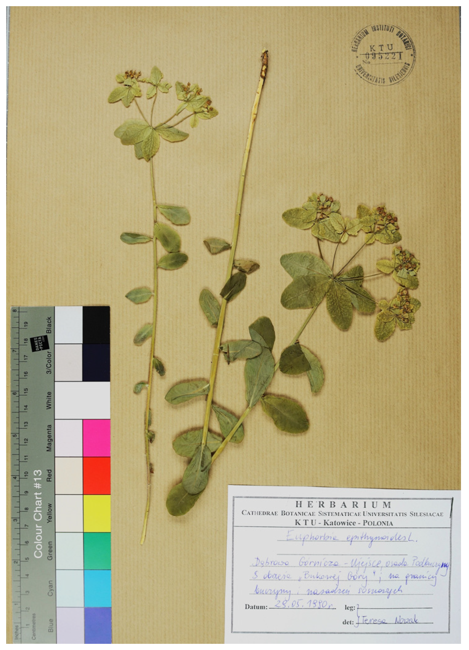 Diversity 16 00434 g005 Diversity 16 00434 g005