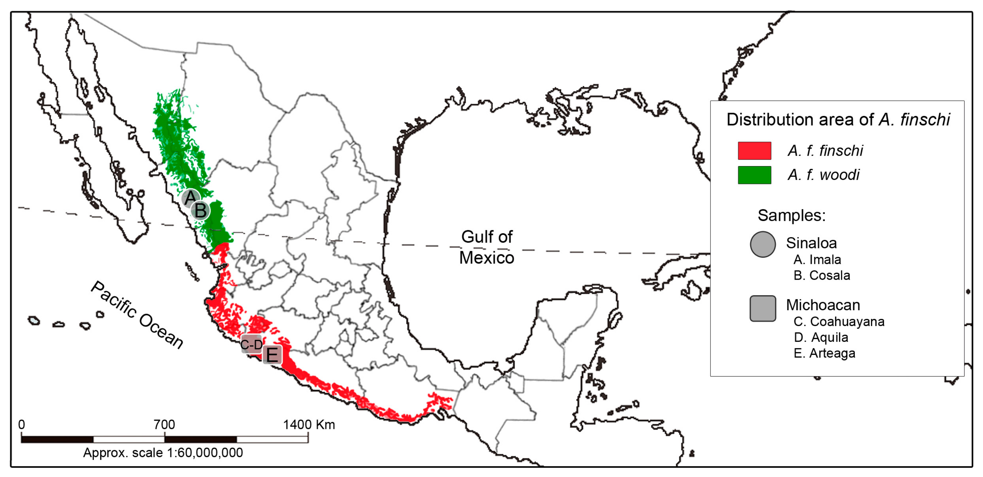 Diversity 16 00435 g001