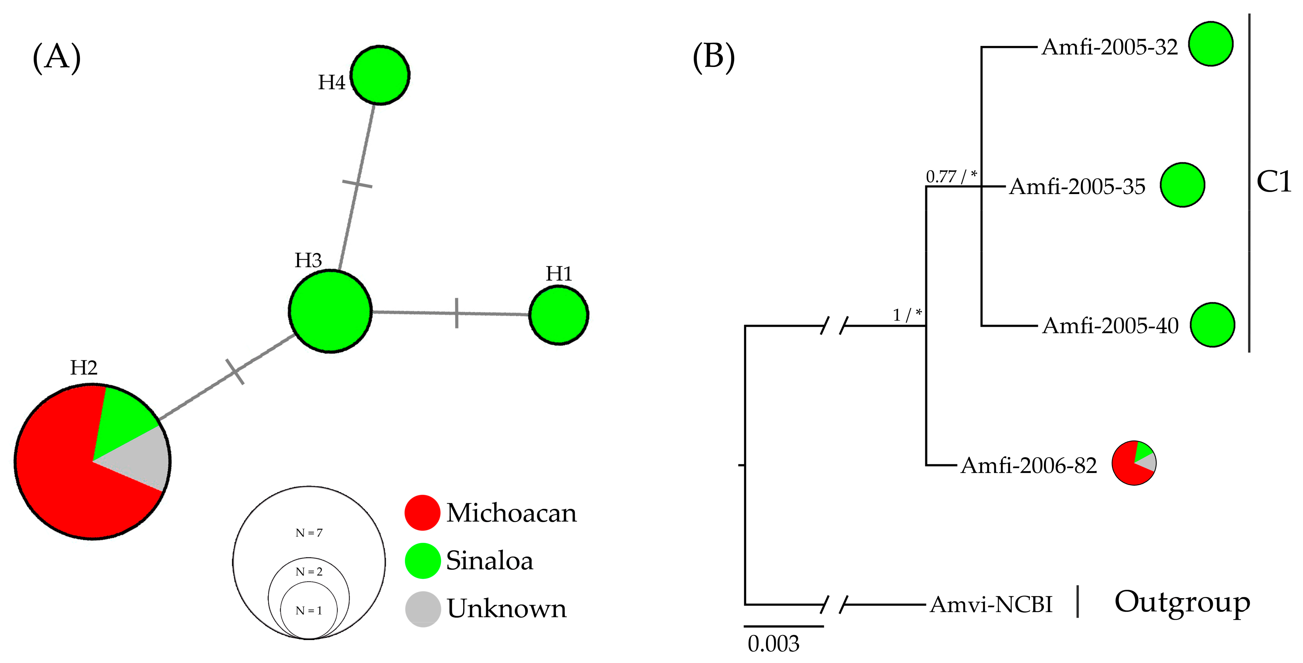 Diversity 16 00435 g002