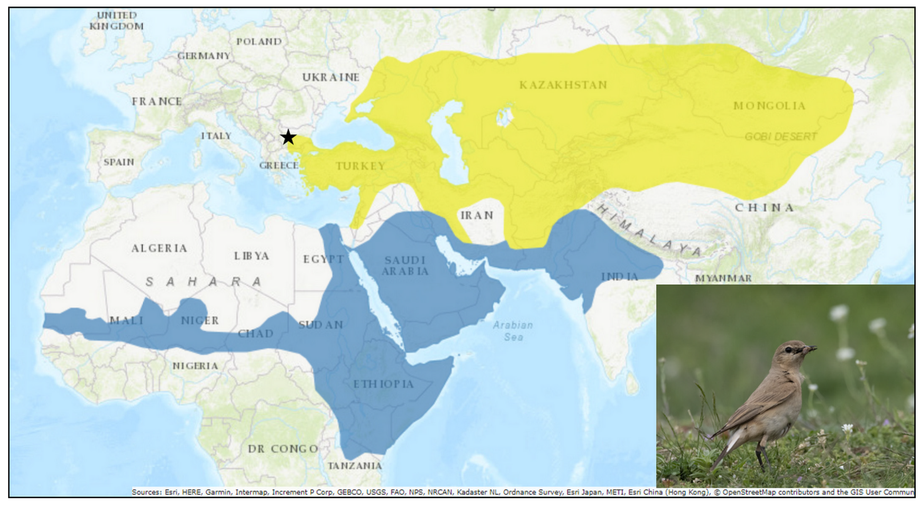 Diversity 16 00436 g001 Diversity 16 00436 g001