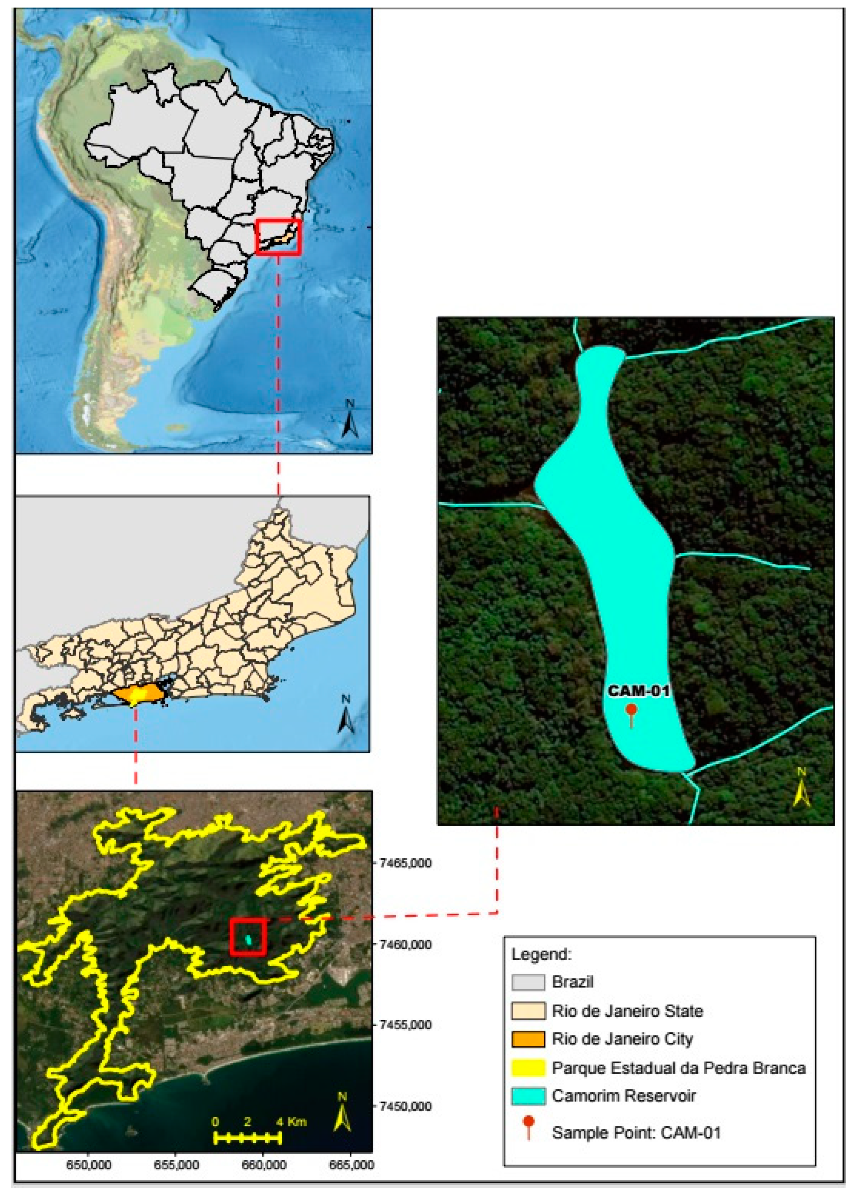 Diversity 16 00438 g001 Diversity 16 00438 g001