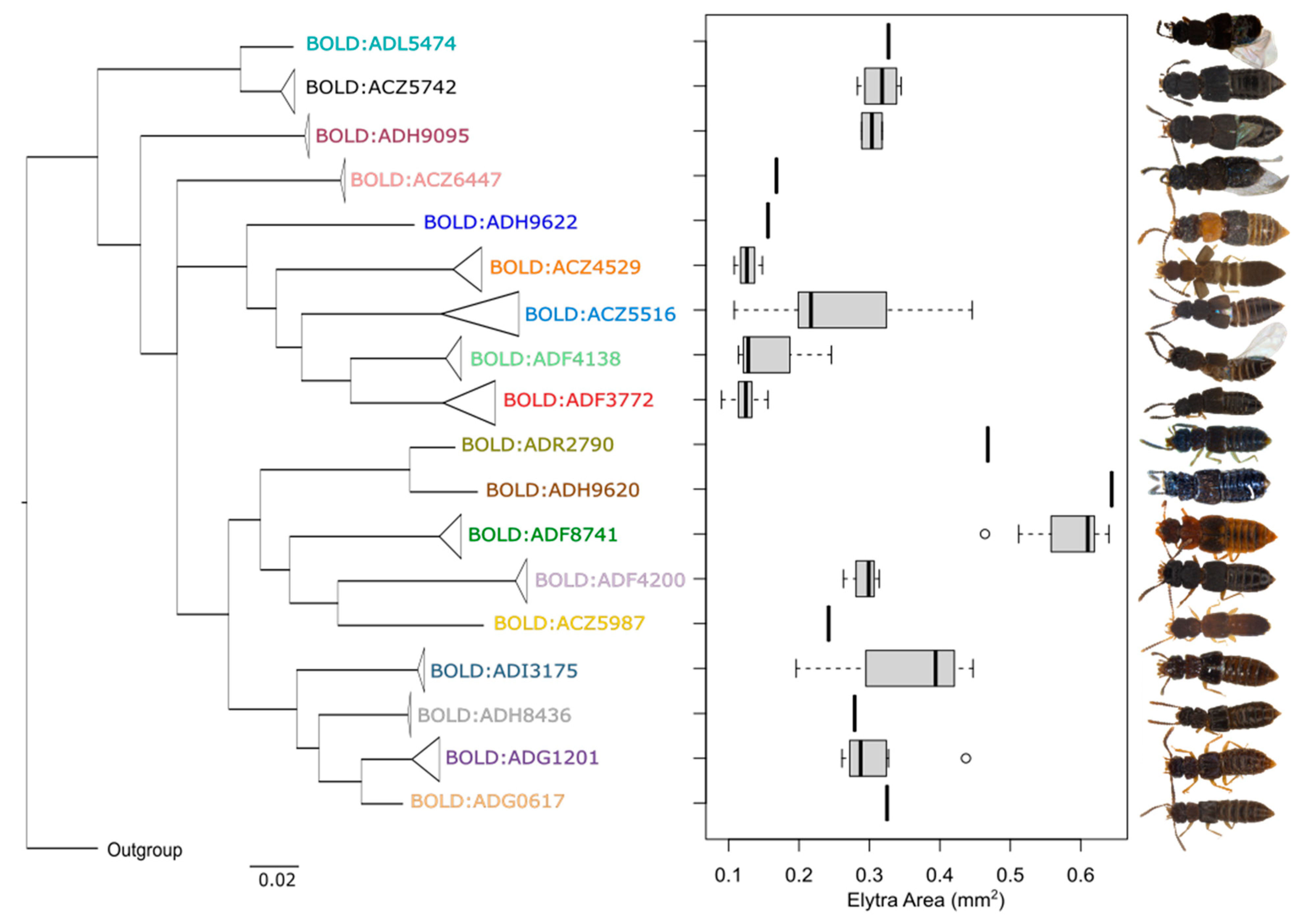 Diversity 16 00441 g004