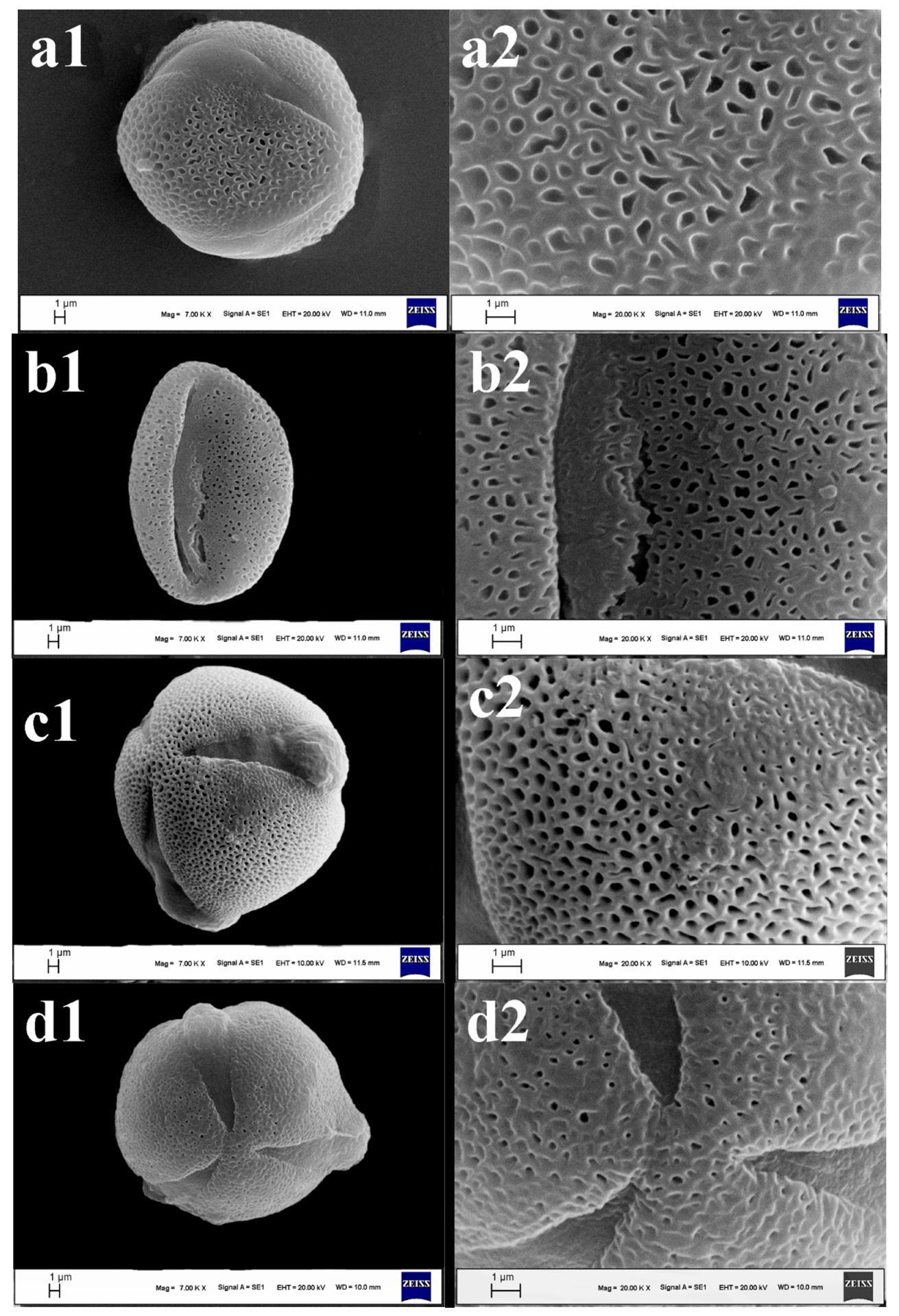 Diversity 16 00443 g002a