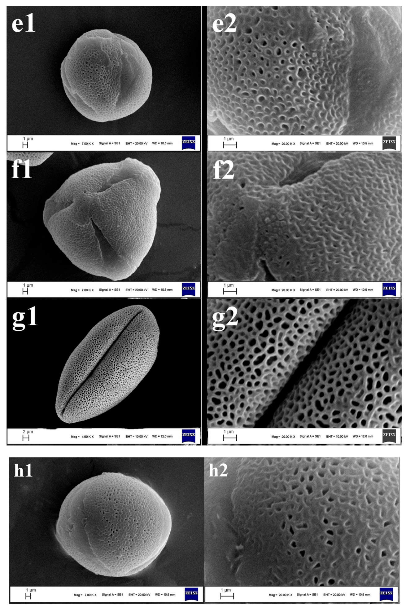 Diversity 16 00443 g002b