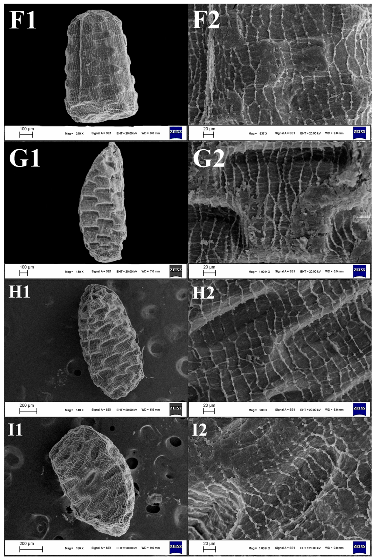 Diversity 16 00443 g005c