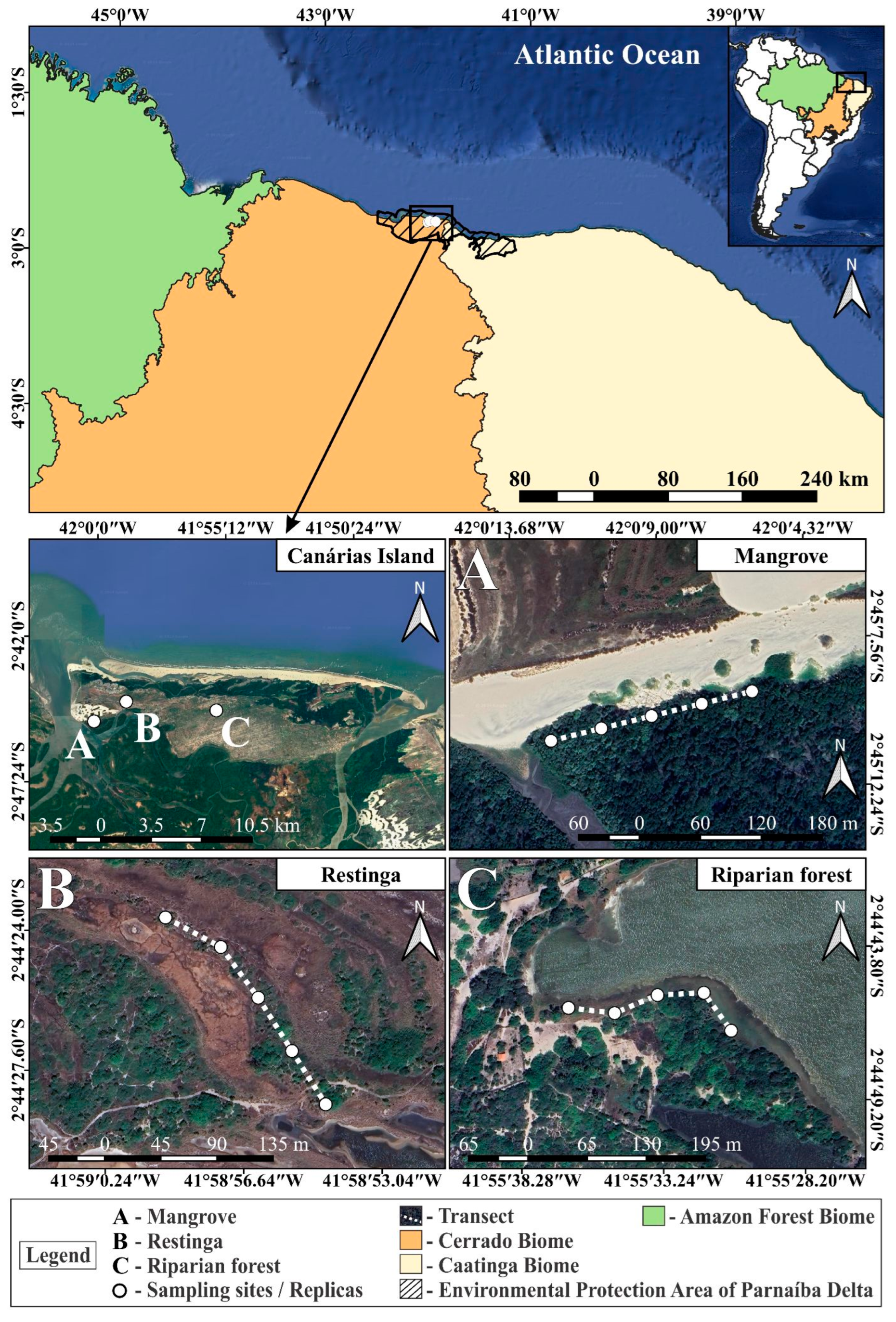 Diversity 16 00445 g001 Diversity 16 00445 g001