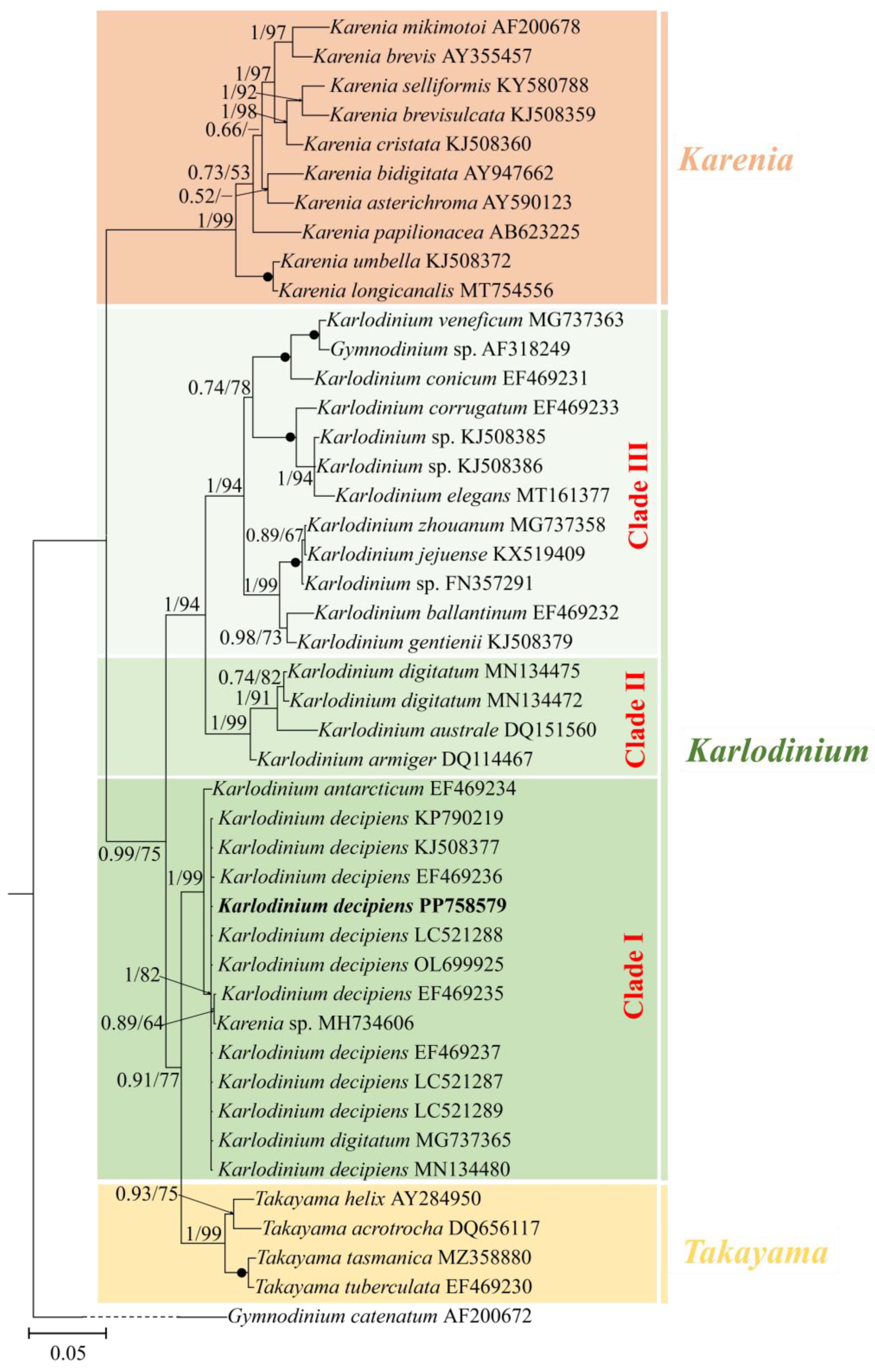 Diversity 16 00449 g003