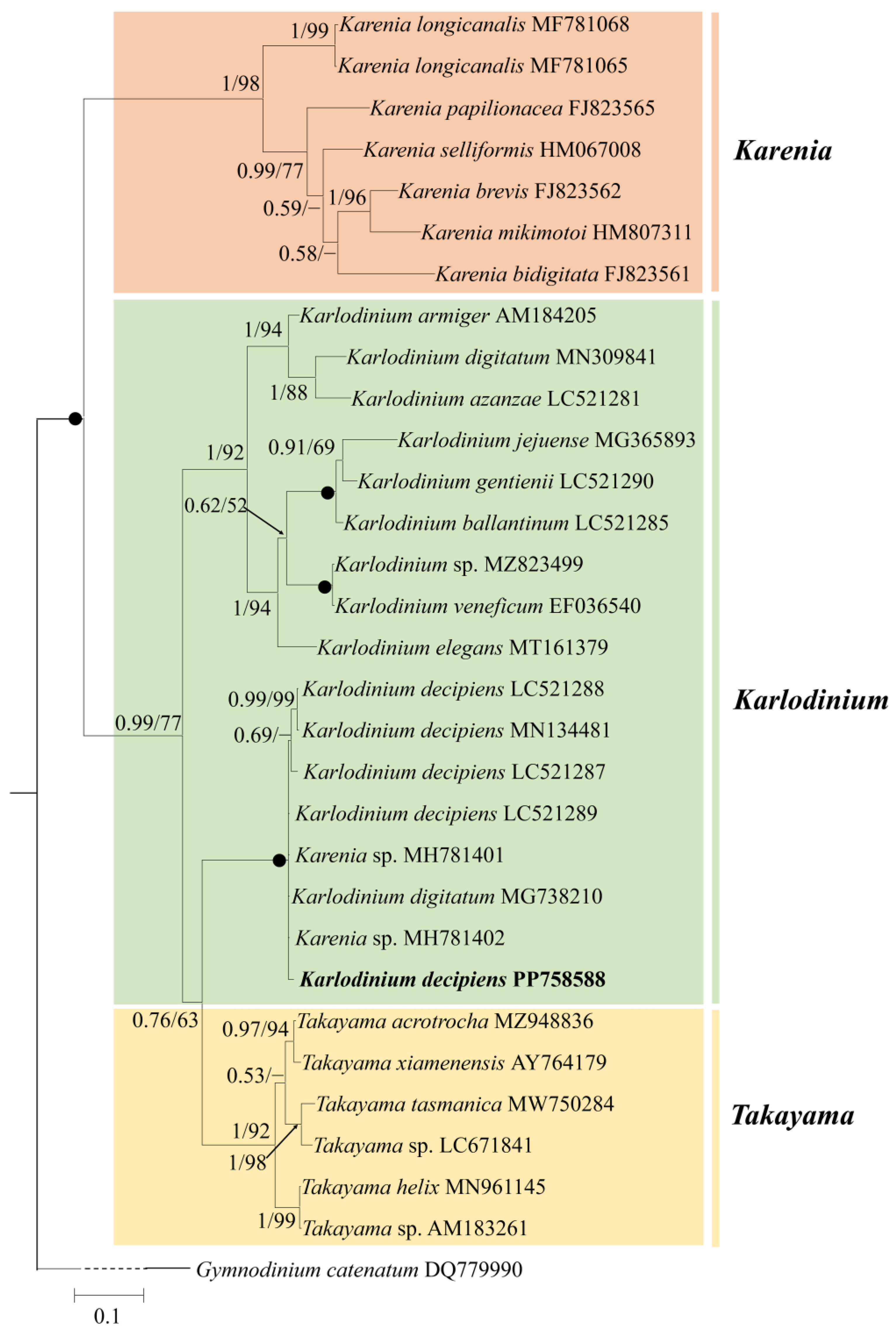 Diversity 16 00449 g004